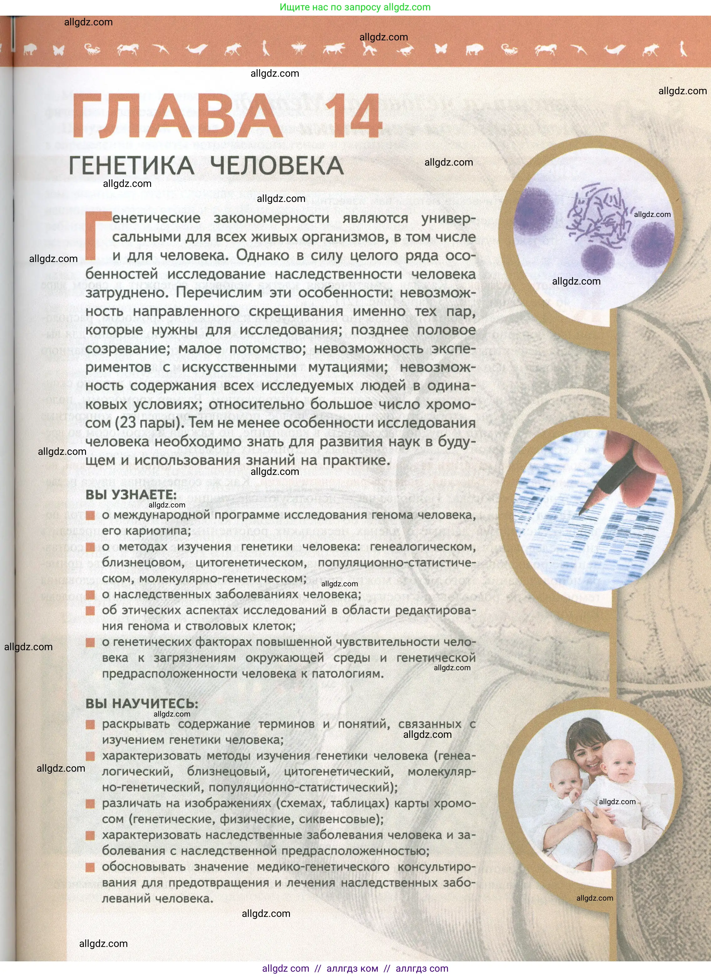 Биология, 10 класс Учебник, авторы: Пасечник Владимир Васильевич, Каменский Андрей Александрович, Рубцов Александр Михайлович, Швецов Глеб Геннадьевич, Абовян Леван Арташесович, Гапонюк Зоя Георгиевна, издательство Просвещение, Москва, 2024, коричневого цвета, страница 209