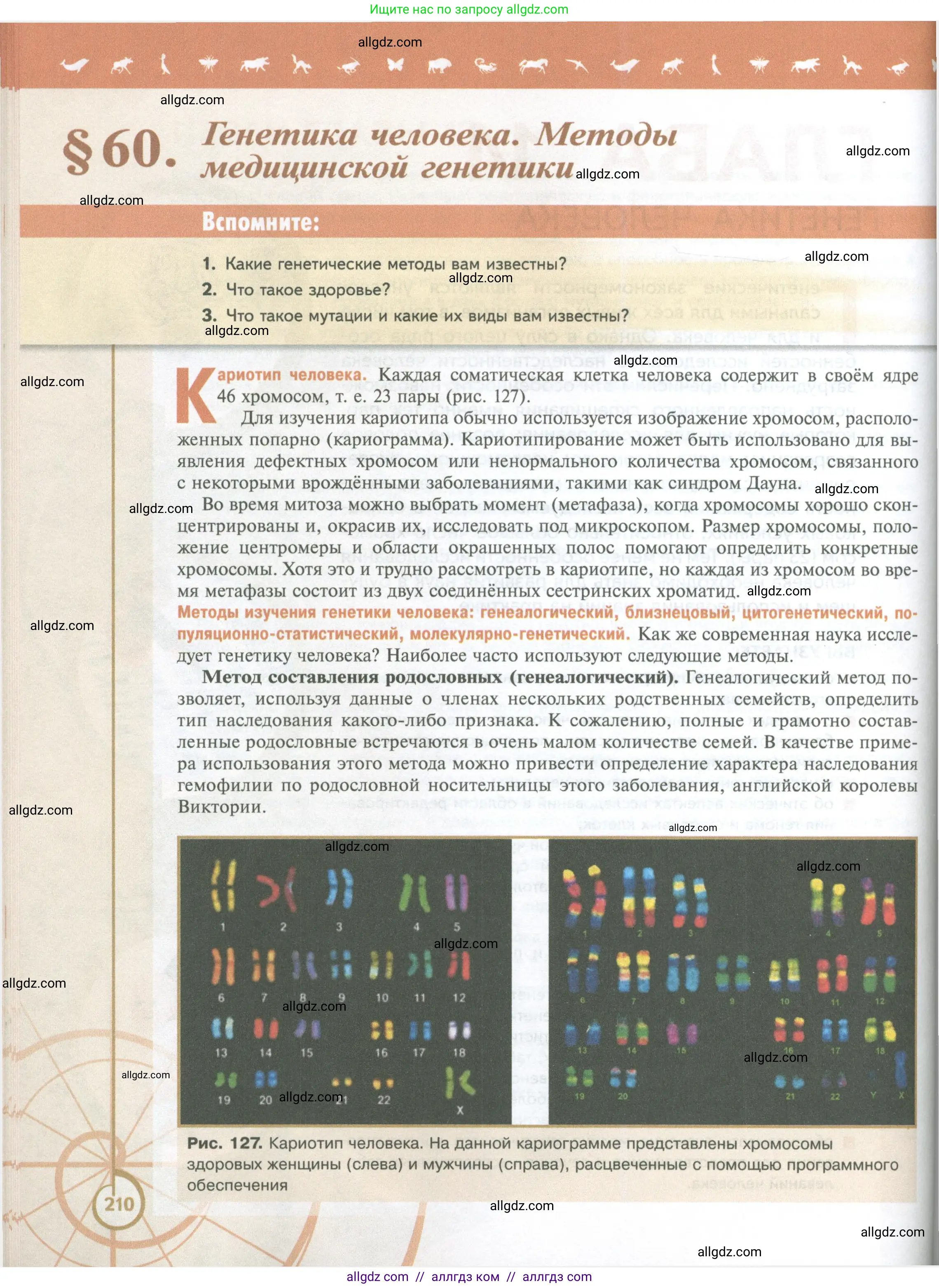 Биология, 10 класс Учебник, авторы: Пасечник Владимир Васильевич, Каменский Андрей Александрович, Рубцов Александр Михайлович, Швецов Глеб Геннадьевич, Абовян Леван Арташесович, Гапонюк Зоя Георгиевна, издательство Просвещение, Москва, 2024, коричневого цвета, Часть 2, страница 210