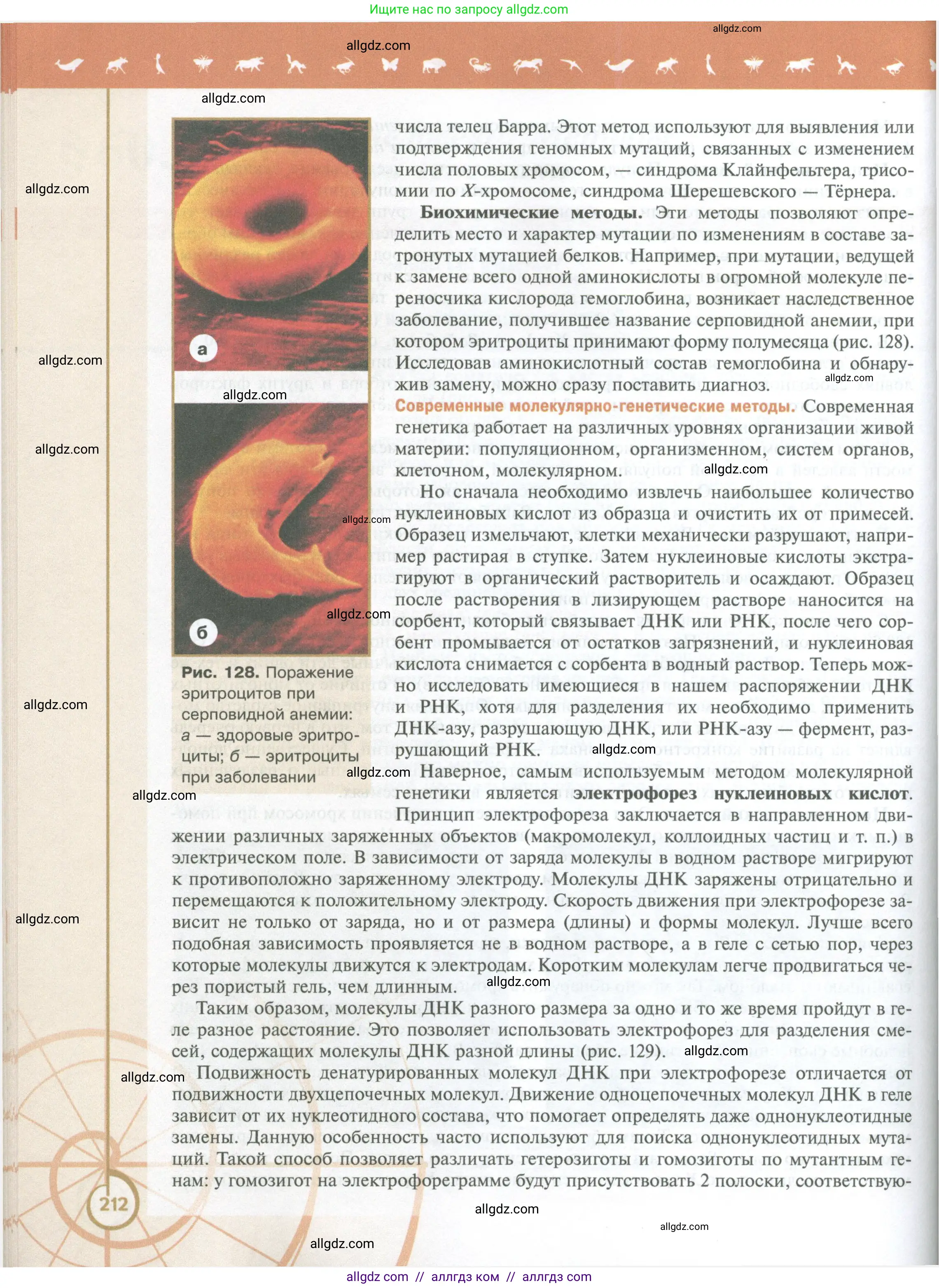 Биология, 10 класс Учебник, авторы: Пасечник Владимир Васильевич, Каменский Андрей Александрович, Рубцов Александр Михайлович, Швецов Глеб Геннадьевич, Абовян Леван Арташесович, Гапонюк Зоя Георгиевна, издательство Просвещение, Москва, 2024, коричневого цвета, страница 212