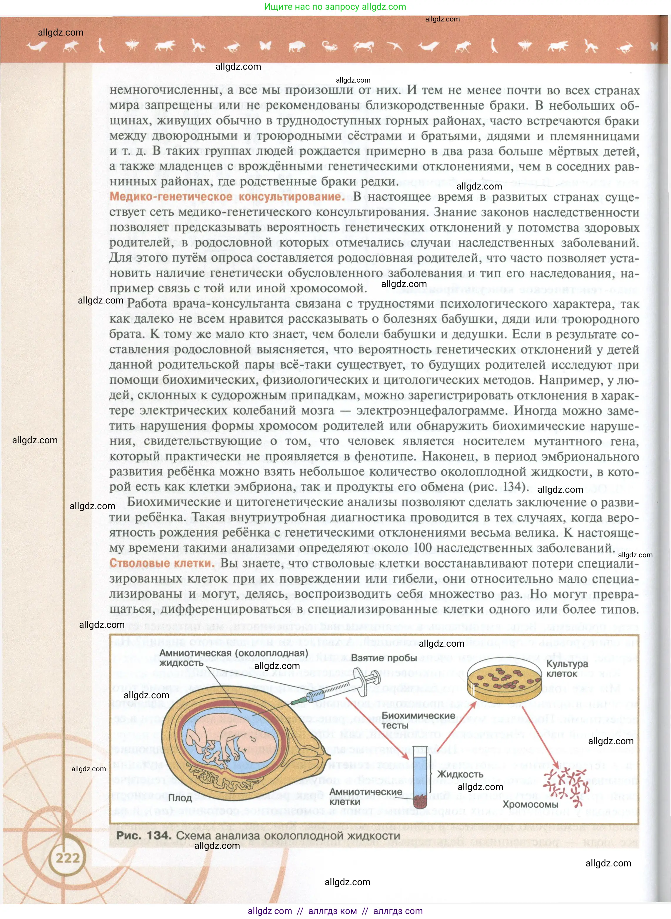 Биология, 10 класс Учебник, авторы: Пасечник Владимир Васильевич, Каменский Андрей Александрович, Рубцов Александр Михайлович, Швецов Глеб Геннадьевич, Абовян Леван Арташесович, Гапонюк Зоя Георгиевна, издательство Просвещение, Москва, 2024, коричневого цвета, страница 222