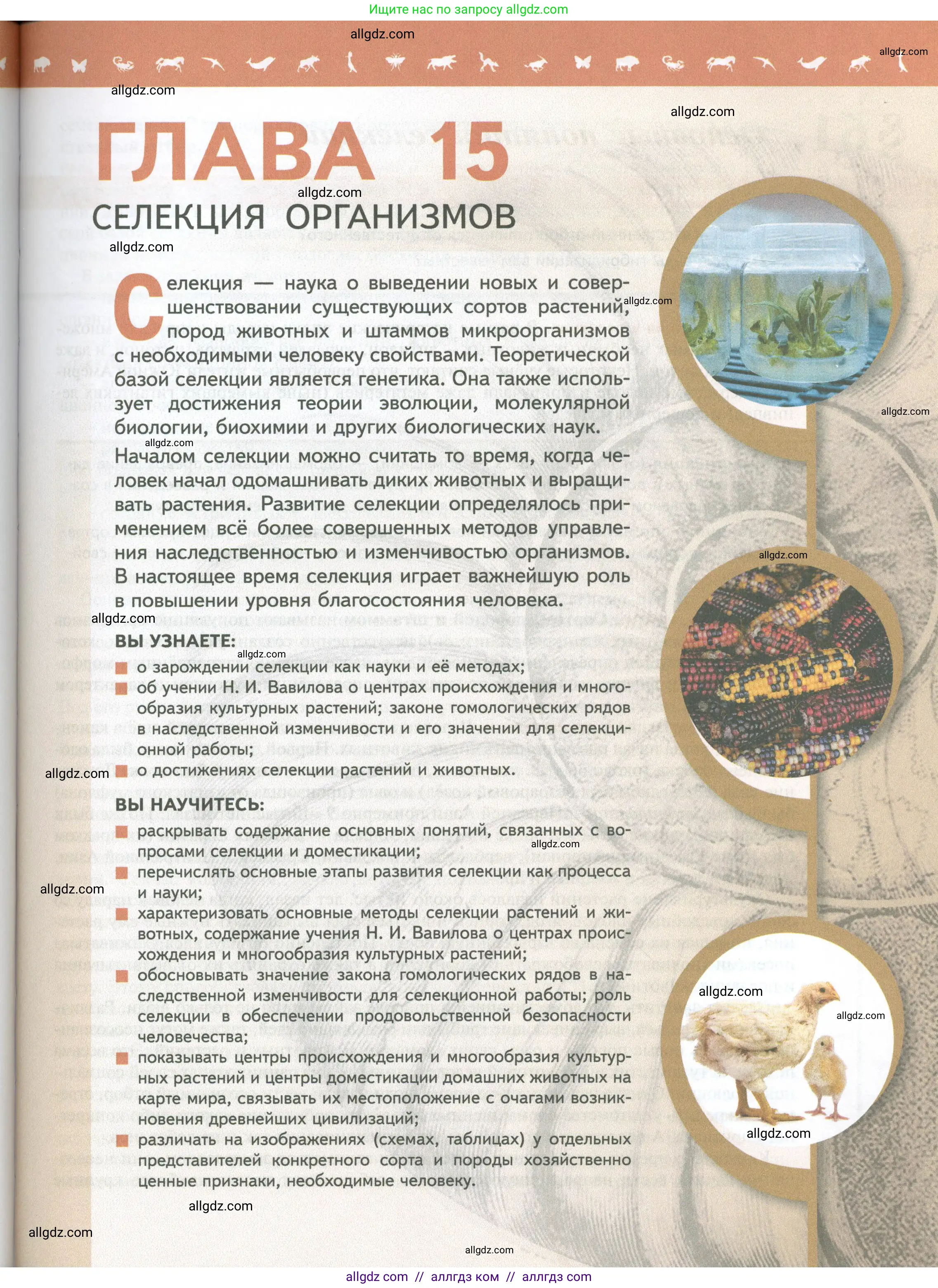 Биология, 10 класс Учебник, авторы: Пасечник Владимир Васильевич, Каменский Андрей Александрович, Рубцов Александр Михайлович, Швецов Глеб Геннадьевич, Абовян Леван Арташесович, Гапонюк Зоя Георгиевна, издательство Просвещение, Москва, 2024, коричневого цвета, страница 231