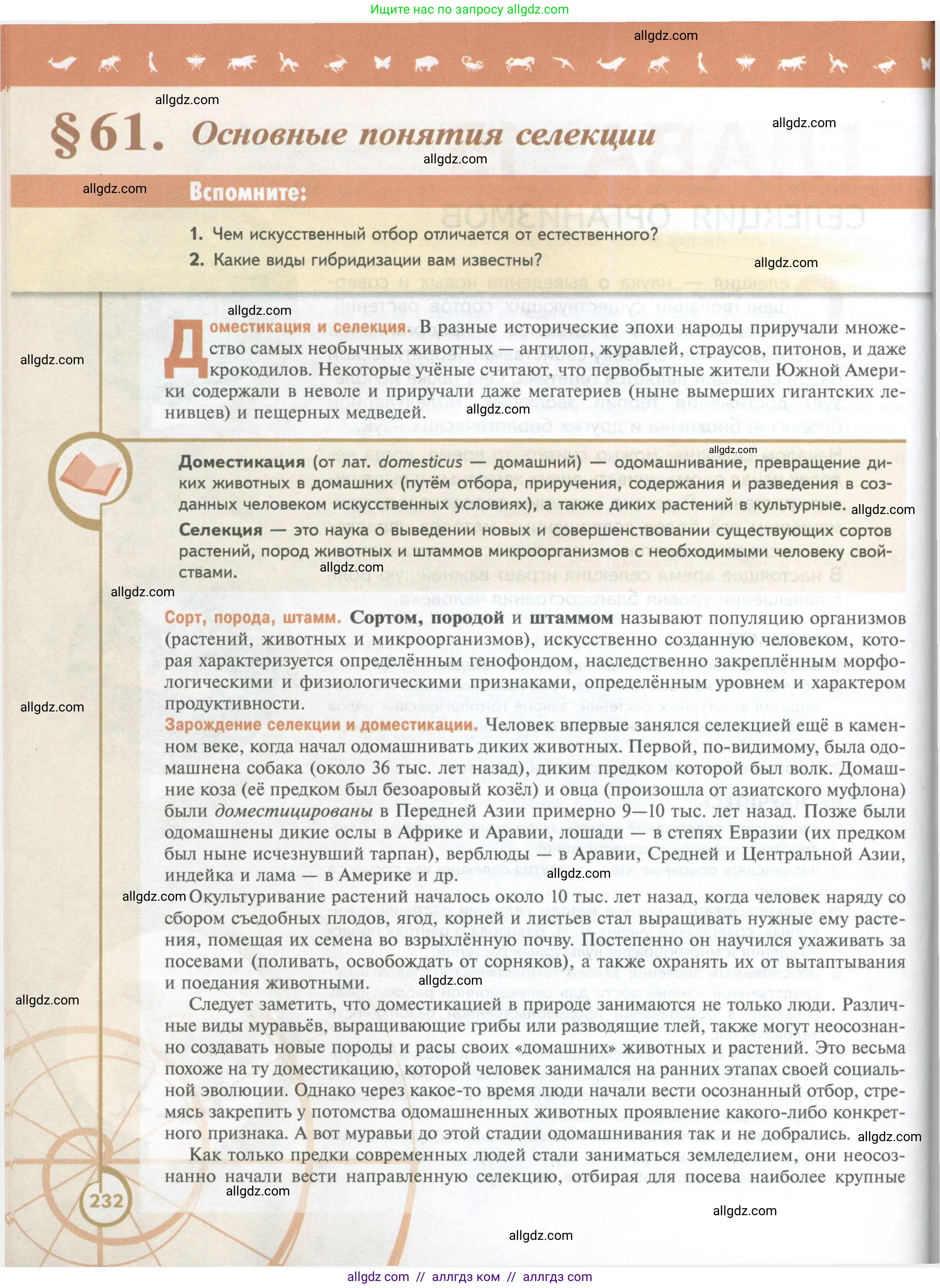Биология, 10 класс Учебник, авторы: Пасечник Владимир Васильевич, Каменский Андрей Александрович, Рубцов Александр Михайлович, Швецов Глеб Геннадьевич, Абовян Леван Арташесович, Гапонюк Зоя Георгиевна, издательство Просвещение, Москва, 2024, коричневого цвета, Часть 2, страница 232