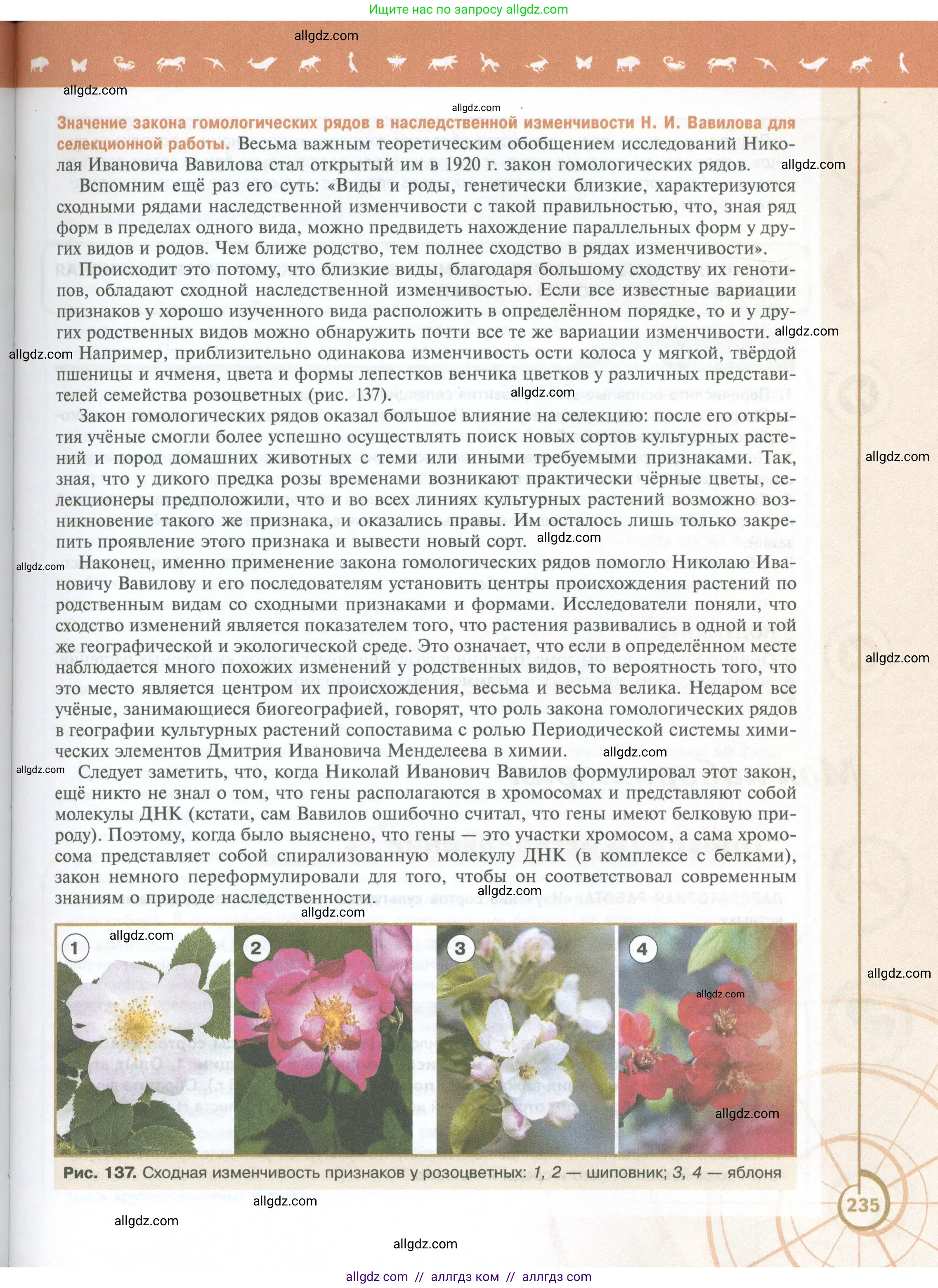 Биология, 10 класс Учебник, авторы: Пасечник Владимир Васильевич, Каменский Андрей Александрович, Рубцов Александр Михайлович, Швецов Глеб Геннадьевич, Абовян Леван Арташесович, Гапонюк Зоя Георгиевна, издательство Просвещение, Москва, 2024, коричневого цвета, страница 235