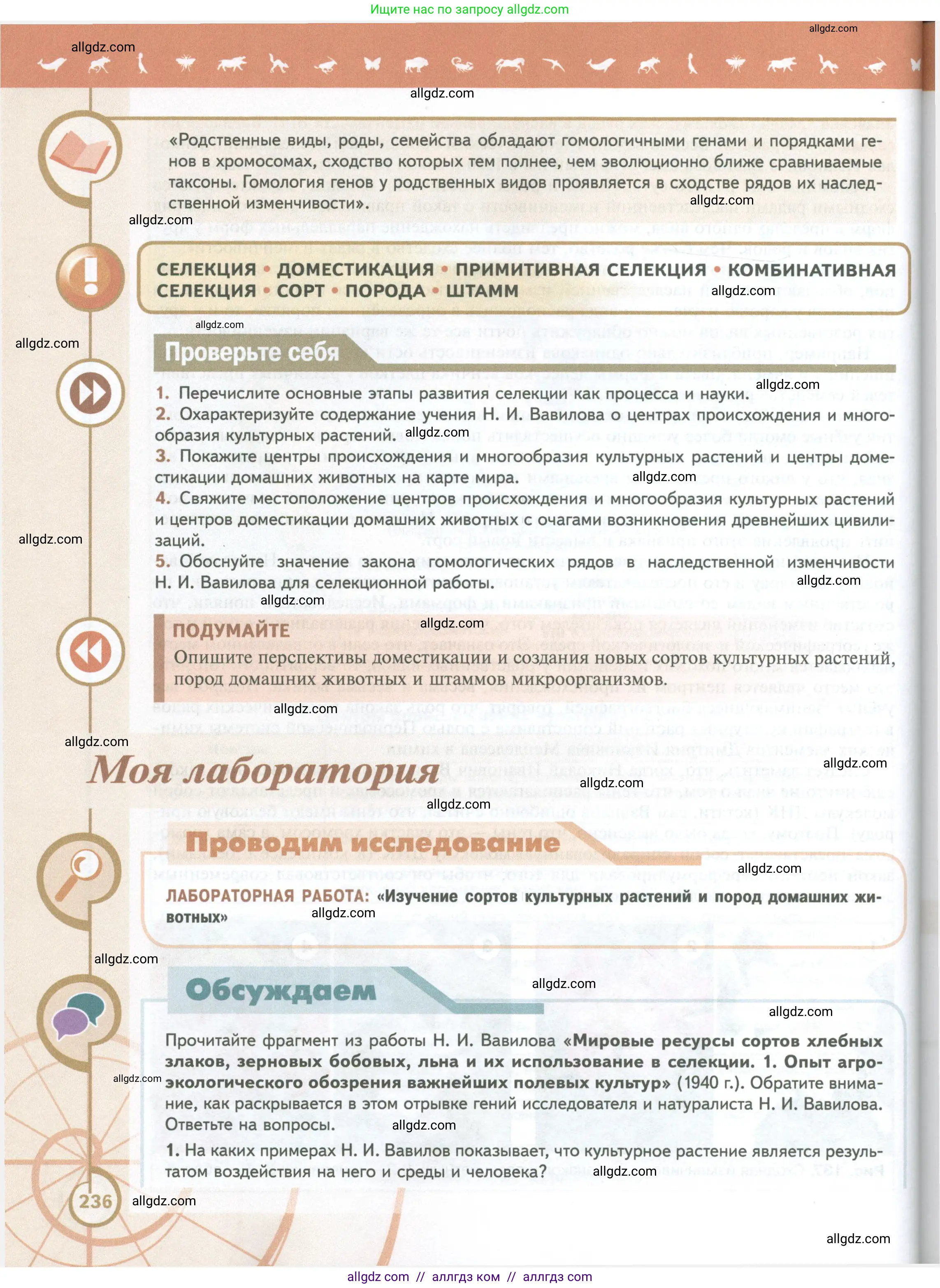 Биология, 10 класс Учебник, авторы: Пасечник Владимир Васильевич, Каменский Андрей Александрович, Рубцов Александр Михайлович, Швецов Глеб Геннадьевич, Абовян Леван Арташесович, Гапонюк Зоя Георгиевна, издательство Просвещение, Москва, 2024, коричневого цвета, Часть 2, страница 236