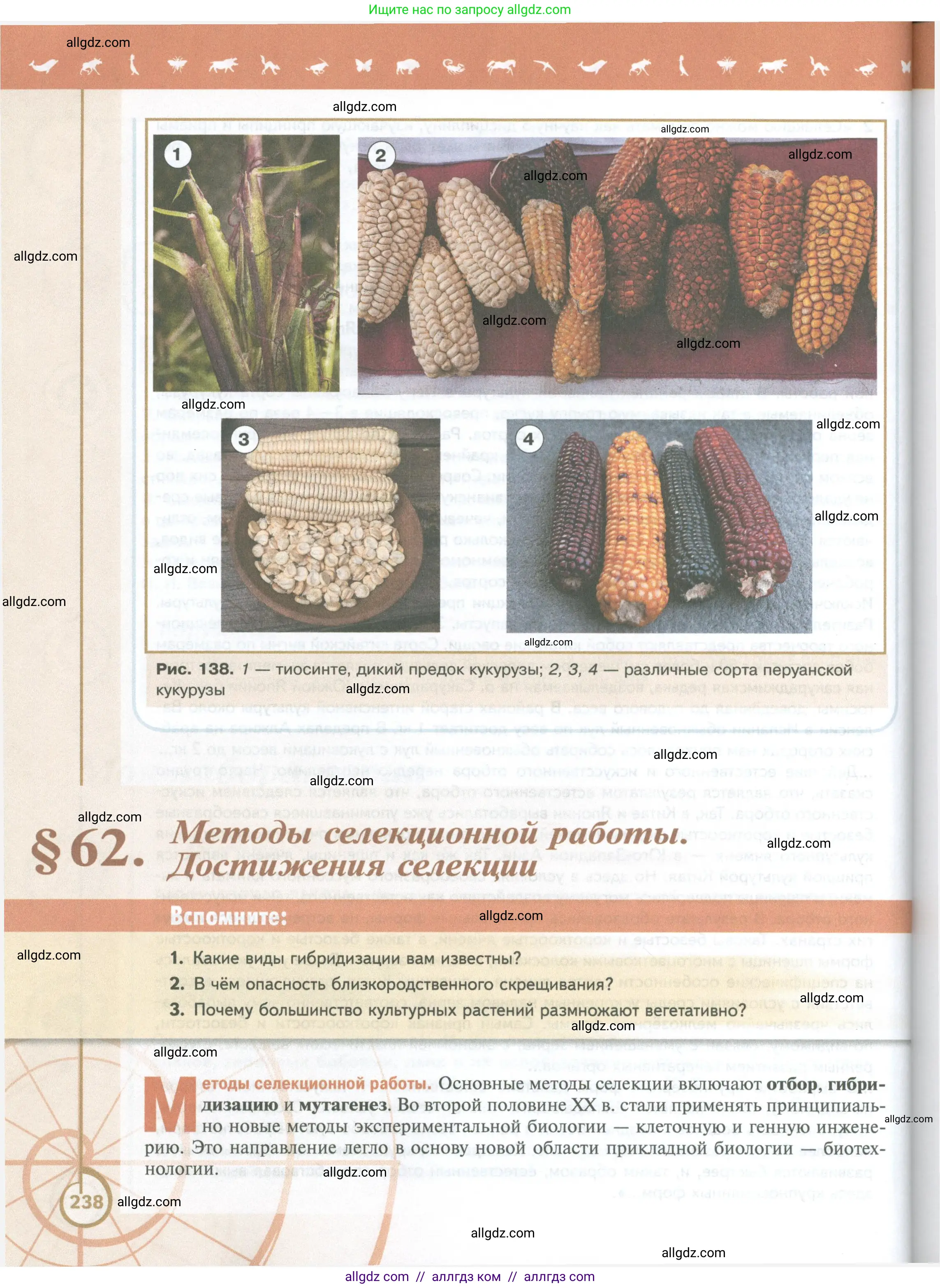 Биология, 10 класс Учебник, авторы: Пасечник Владимир Васильевич, Каменский Андрей Александрович, Рубцов Александр Михайлович, Швецов Глеб Геннадьевич, Абовян Леван Арташесович, Гапонюк Зоя Георгиевна, издательство Просвещение, Москва, 2024, коричневого цвета, Часть 2, страница 238