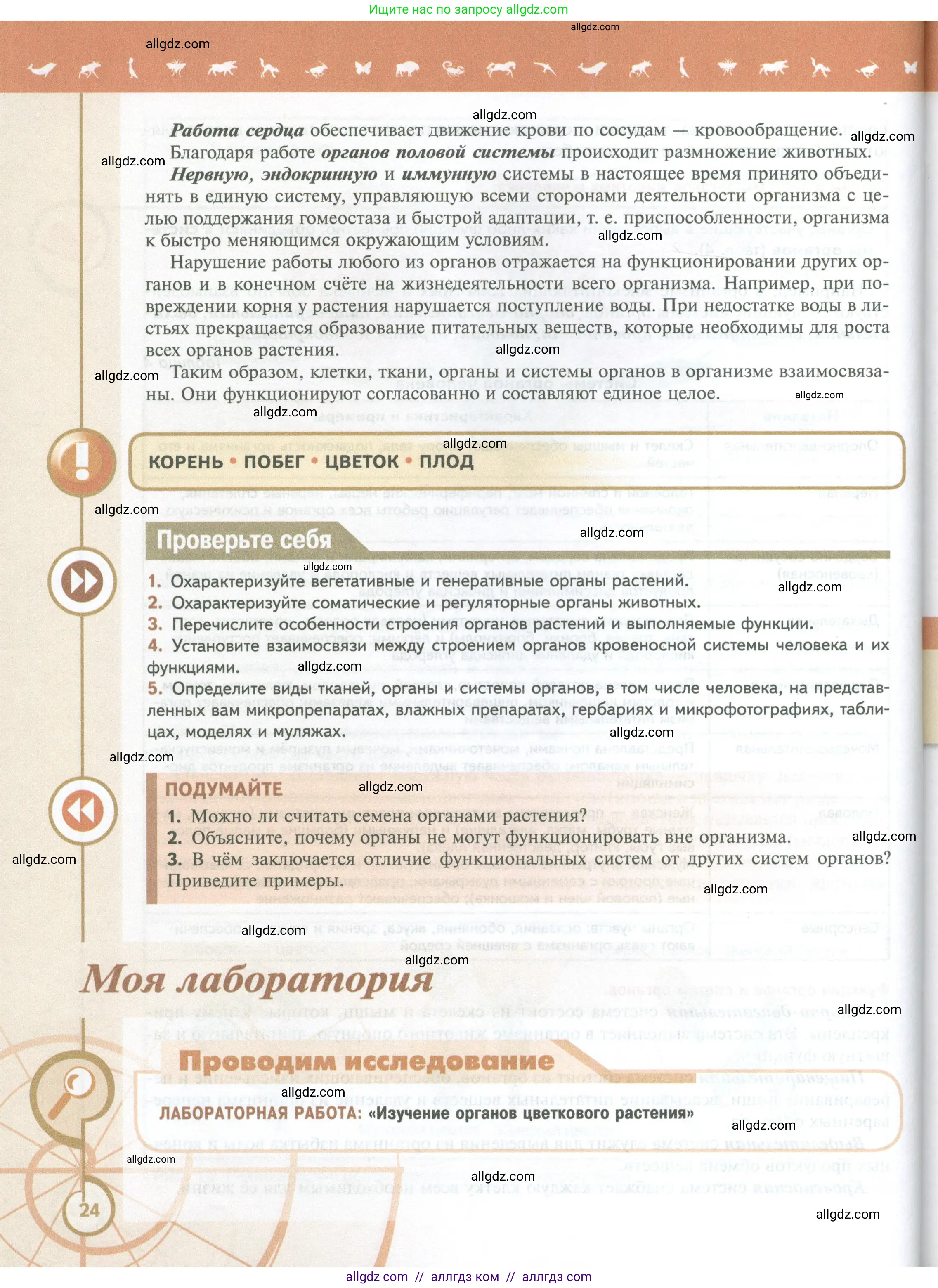 Биология, 10 класс Учебник, авторы: Пасечник Владимир Васильевич, Каменский Андрей Александрович, Рубцов Александр Михайлович, Швецов Глеб Геннадьевич, Абовян Леван Арташесович, Гапонюк Зоя Георгиевна, издательство Просвещение, Москва, 2024, коричневого цвета, Часть 2, страница 24