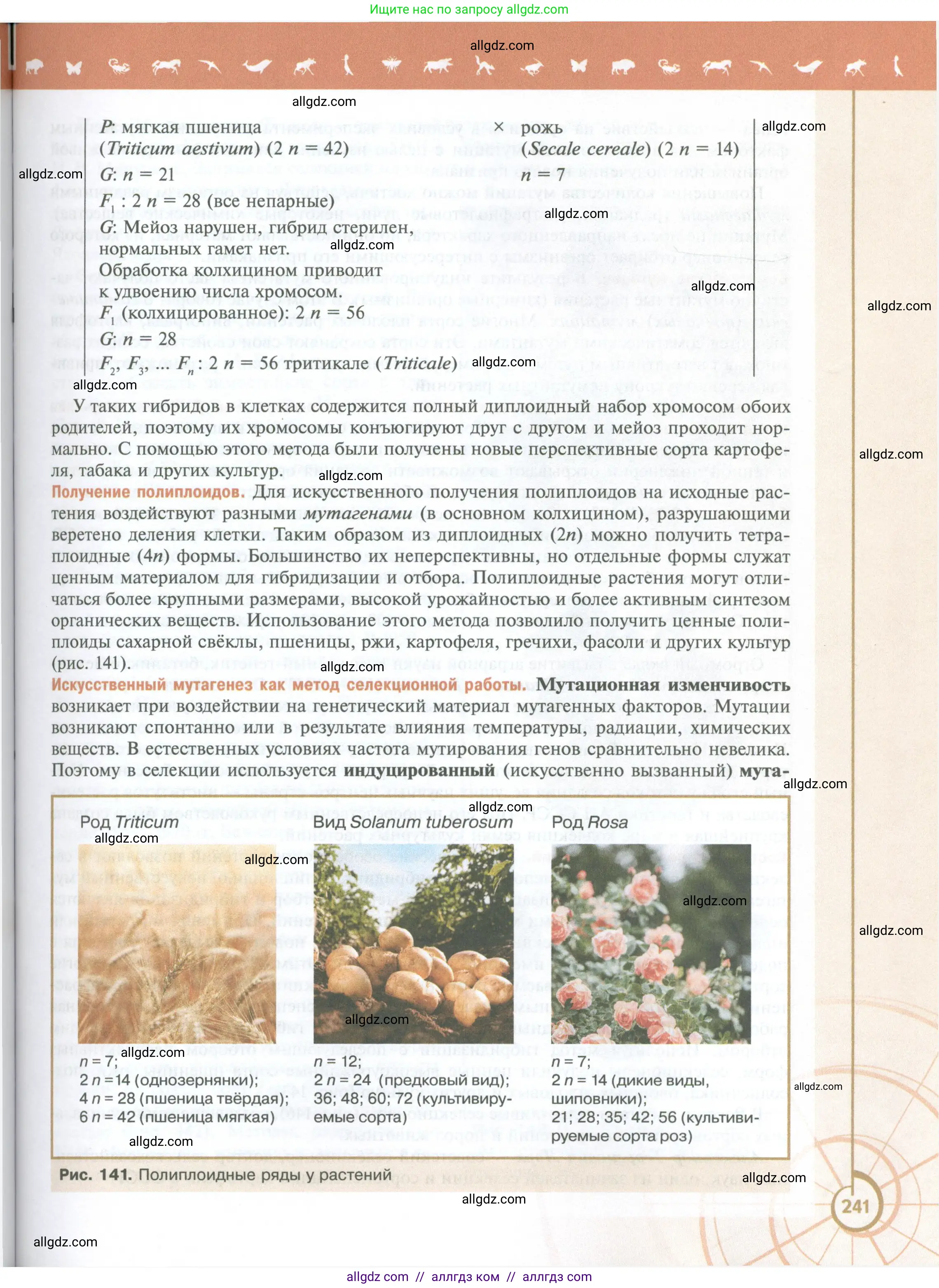 Биология, 10 класс Учебник, авторы: Пасечник Владимир Васильевич, Каменский Андрей Александрович, Рубцов Александр Михайлович, Швецов Глеб Геннадьевич, Абовян Леван Арташесович, Гапонюк Зоя Георгиевна, издательство Просвещение, Москва, 2024, коричневого цвета, страница 241