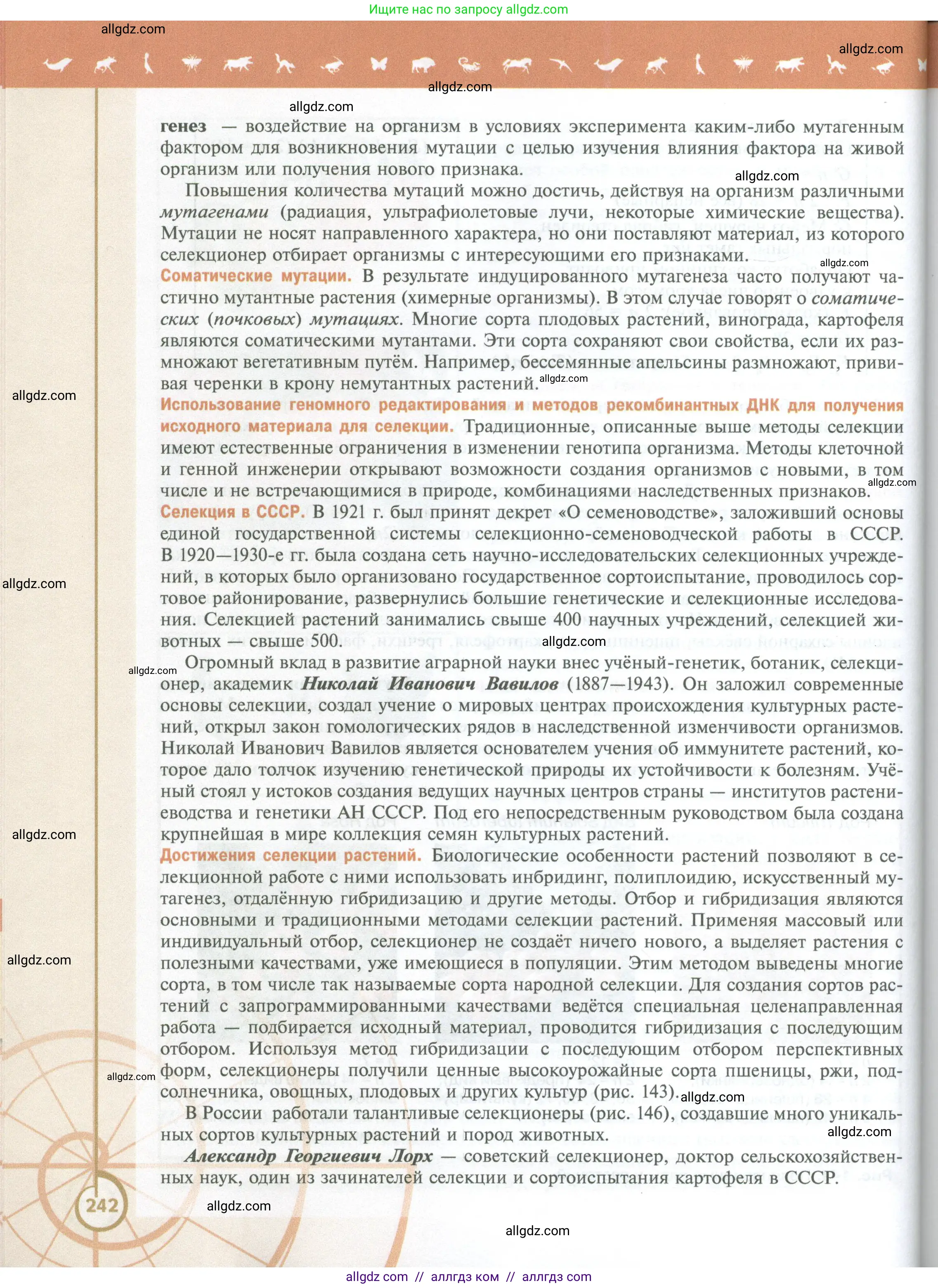 Биология, 10 класс Учебник, авторы: Пасечник Владимир Васильевич, Каменский Андрей Александрович, Рубцов Александр Михайлович, Швецов Глеб Геннадьевич, Абовян Леван Арташесович, Гапонюк Зоя Георгиевна, издательство Просвещение, Москва, 2024, коричневого цвета, страница 242