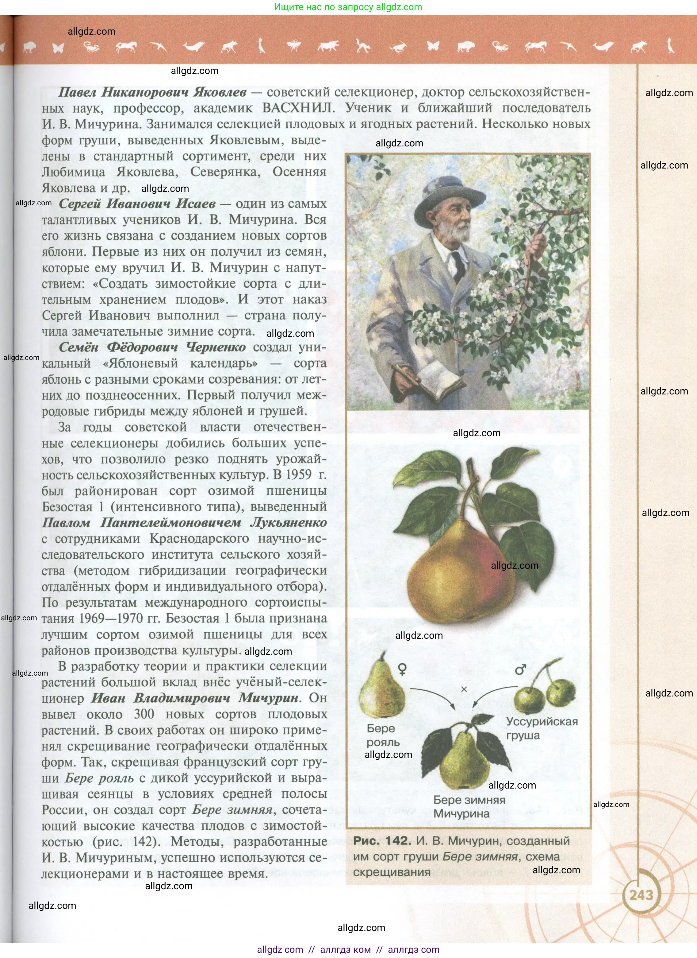 Биология, 10 класс Учебник, авторы: Пасечник Владимир Васильевич, Каменский Андрей Александрович, Рубцов Александр Михайлович, Швецов Глеб Геннадьевич, Абовян Леван Арташесович, Гапонюк Зоя Георгиевна, издательство Просвещение, Москва, 2024, коричневого цвета, страница 243