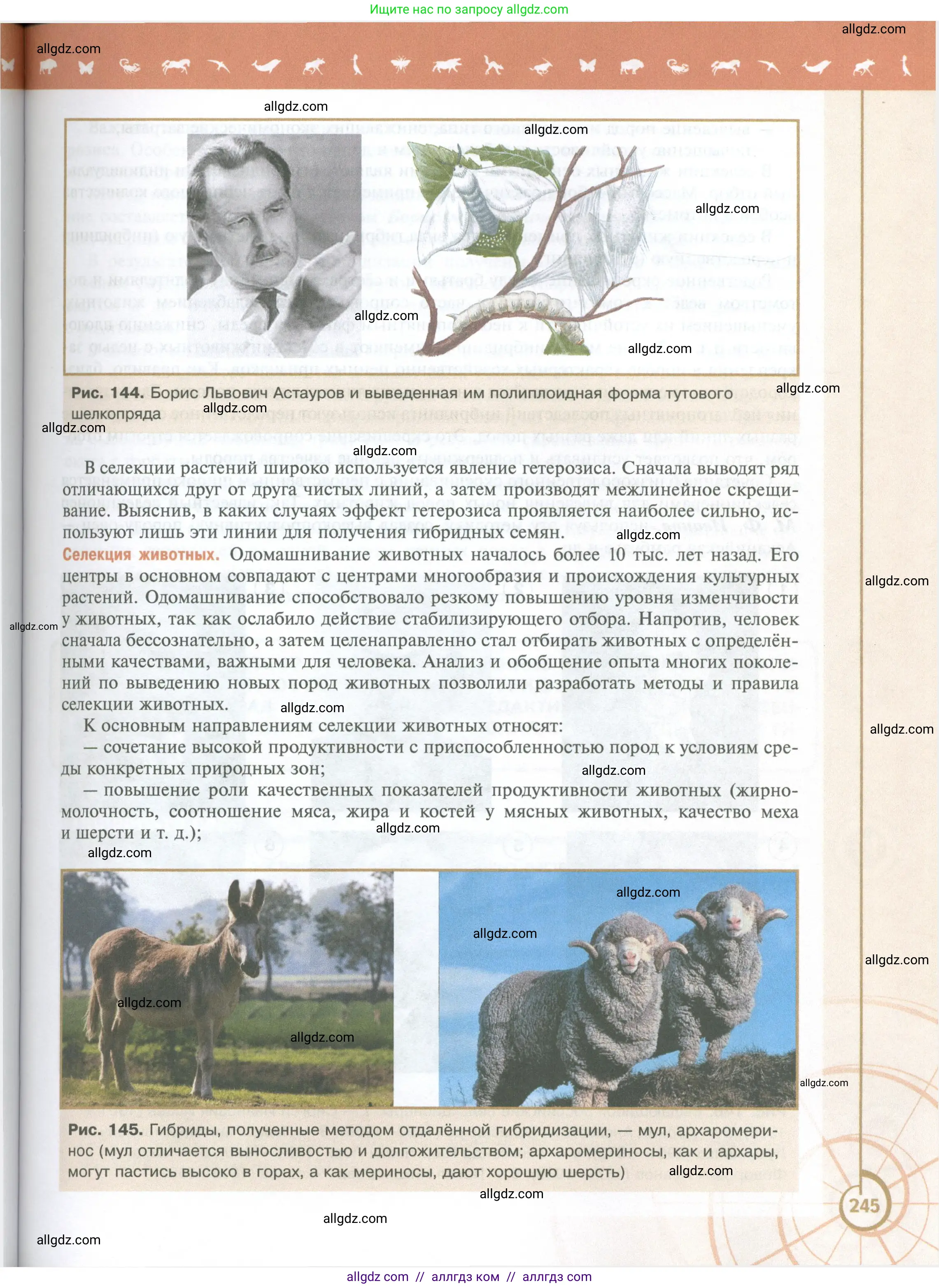 Биология, 10 класс Учебник, авторы: Пасечник Владимир Васильевич, Каменский Андрей Александрович, Рубцов Александр Михайлович, Швецов Глеб Геннадьевич, Абовян Леван Арташесович, Гапонюк Зоя Георгиевна, издательство Просвещение, Москва, 2024, коричневого цвета, страница 245