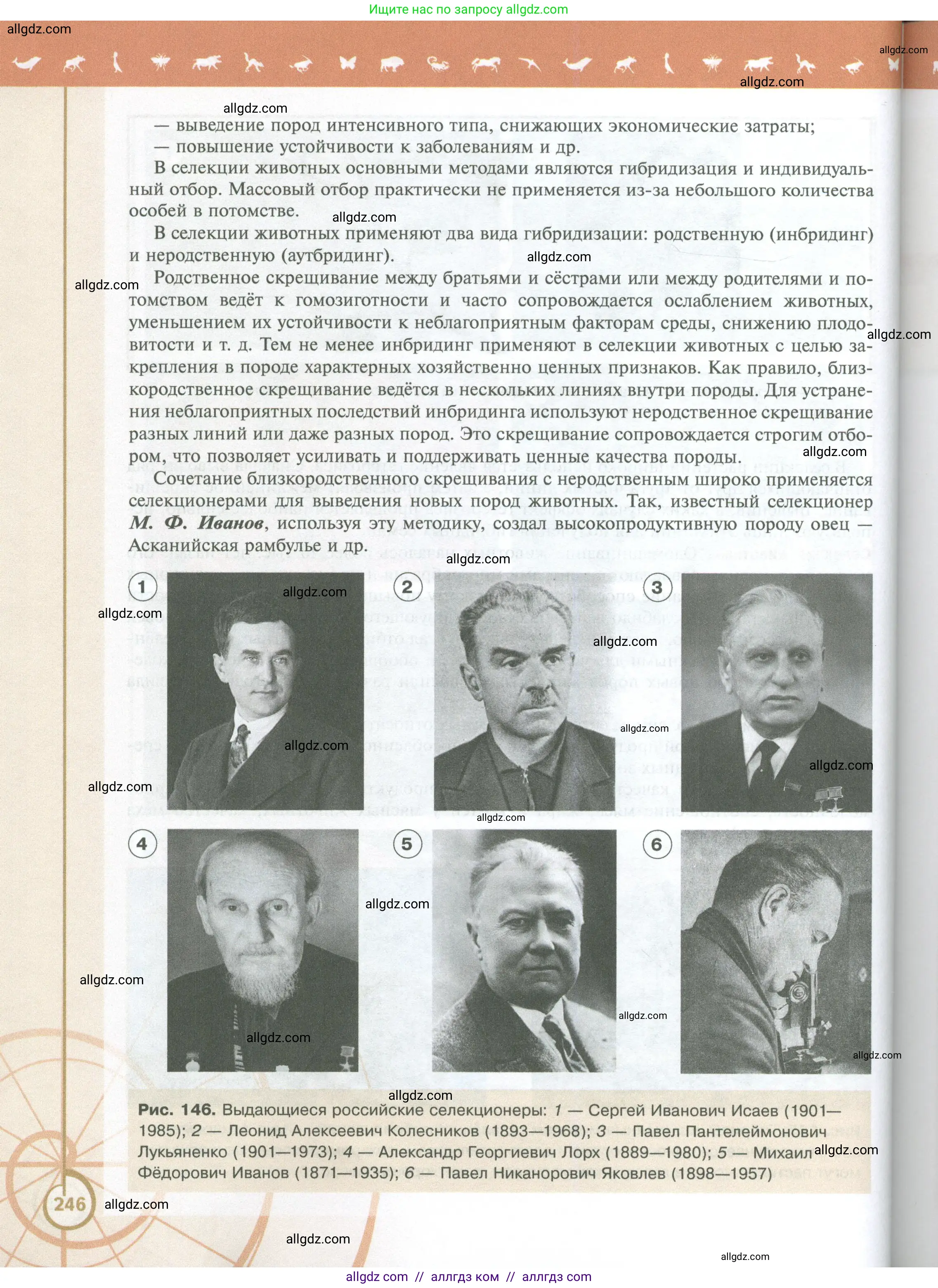 Биология, 10 класс Учебник, авторы: Пасечник Владимир Васильевич, Каменский Андрей Александрович, Рубцов Александр Михайлович, Швецов Глеб Геннадьевич, Абовян Леван Арташесович, Гапонюк Зоя Георгиевна, издательство Просвещение, Москва, 2024, коричневого цвета, страница 246