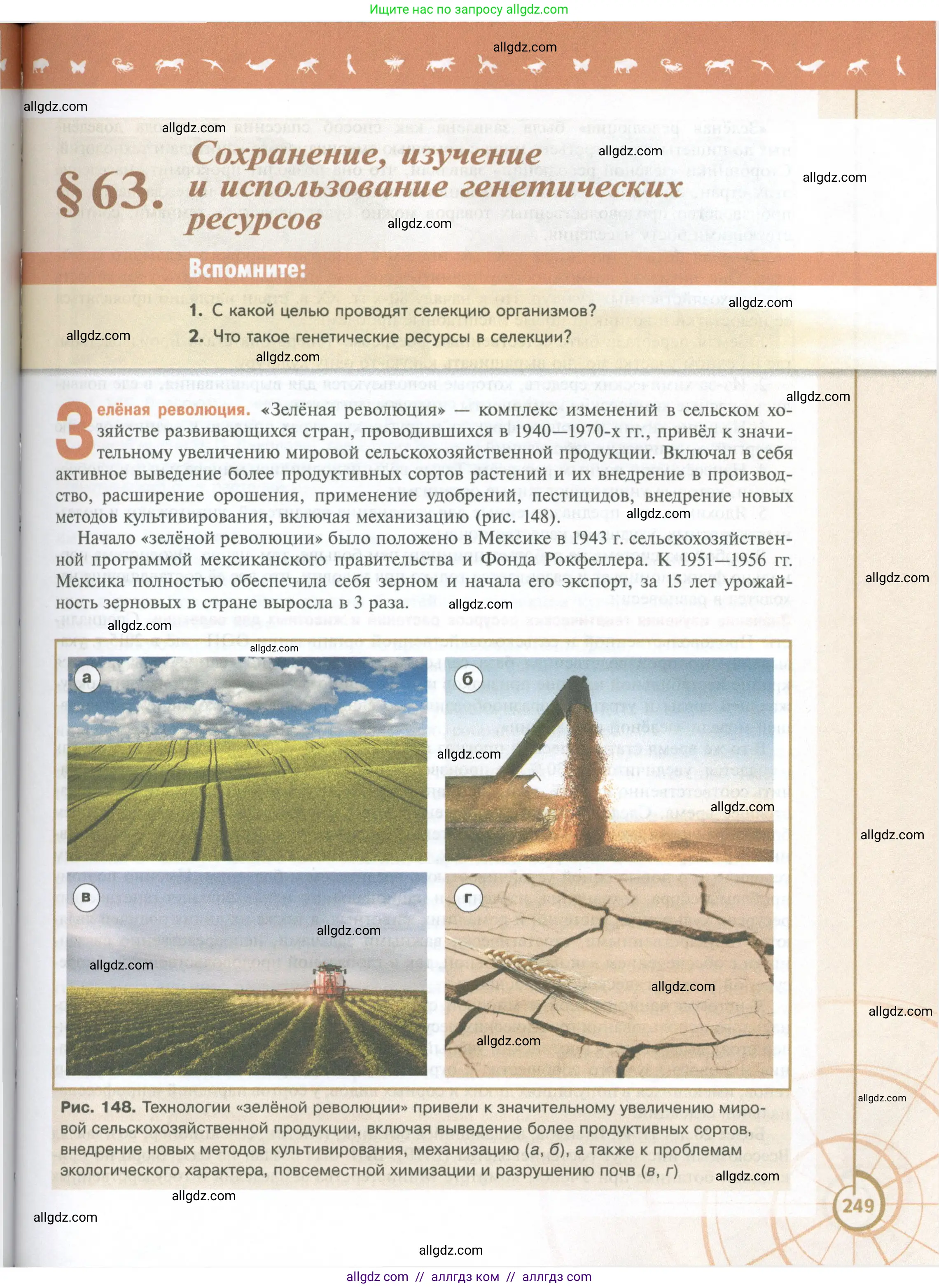 Биология, 10 класс Учебник, авторы: Пасечник Владимир Васильевич, Каменский Андрей Александрович, Рубцов Александр Михайлович, Швецов Глеб Геннадьевич, Абовян Леван Арташесович, Гапонюк Зоя Георгиевна, издательство Просвещение, Москва, 2024, коричневого цвета, Часть 2, страница 249