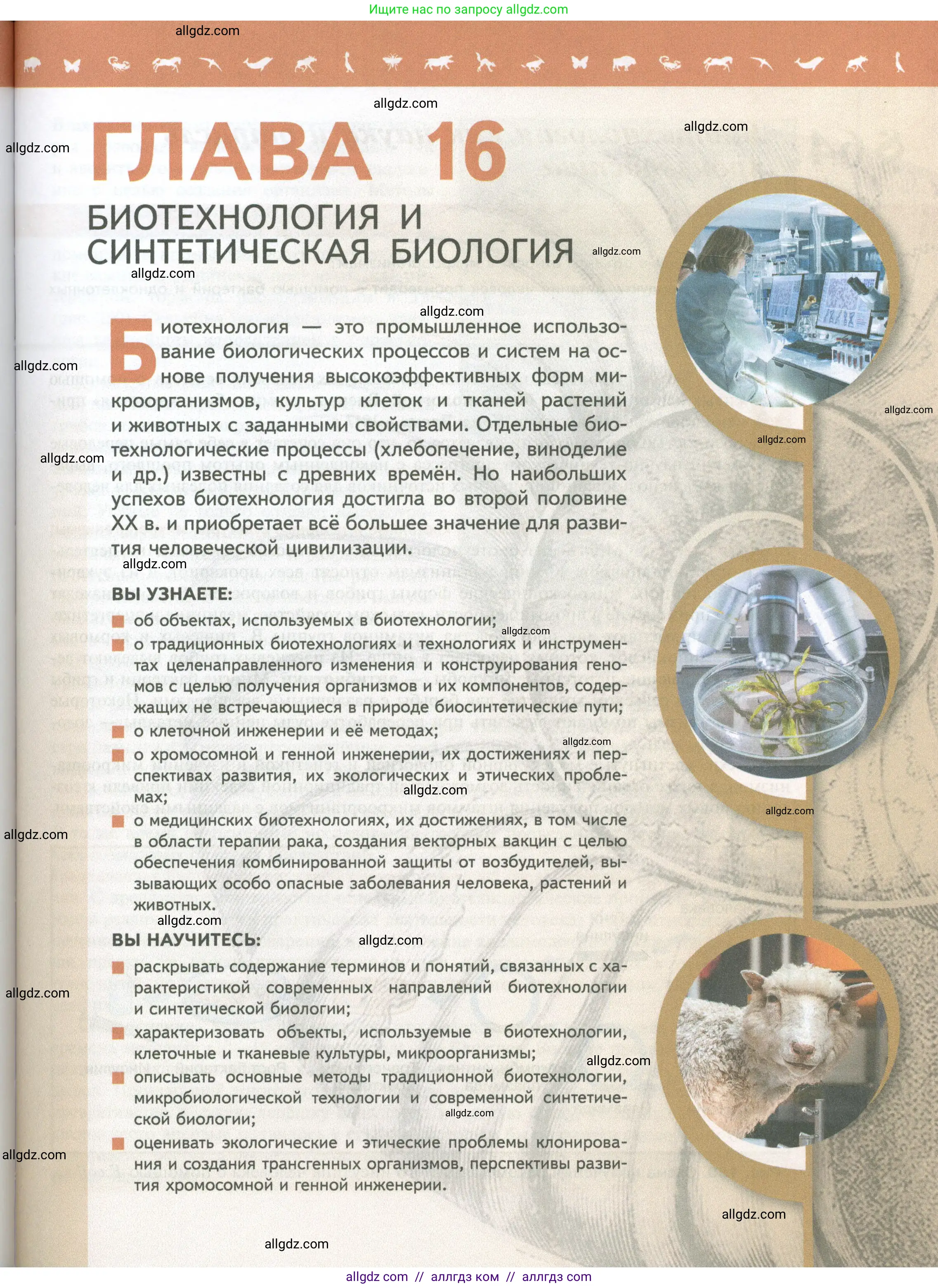 Биология, 10 класс Учебник, авторы: Пасечник Владимир Васильевич, Каменский Андрей Александрович, Рубцов Александр Михайлович, Швецов Глеб Геннадьевич, Абовян Леван Арташесович, Гапонюк Зоя Георгиевна, издательство Просвещение, Москва, 2024, коричневого цвета, страница 255