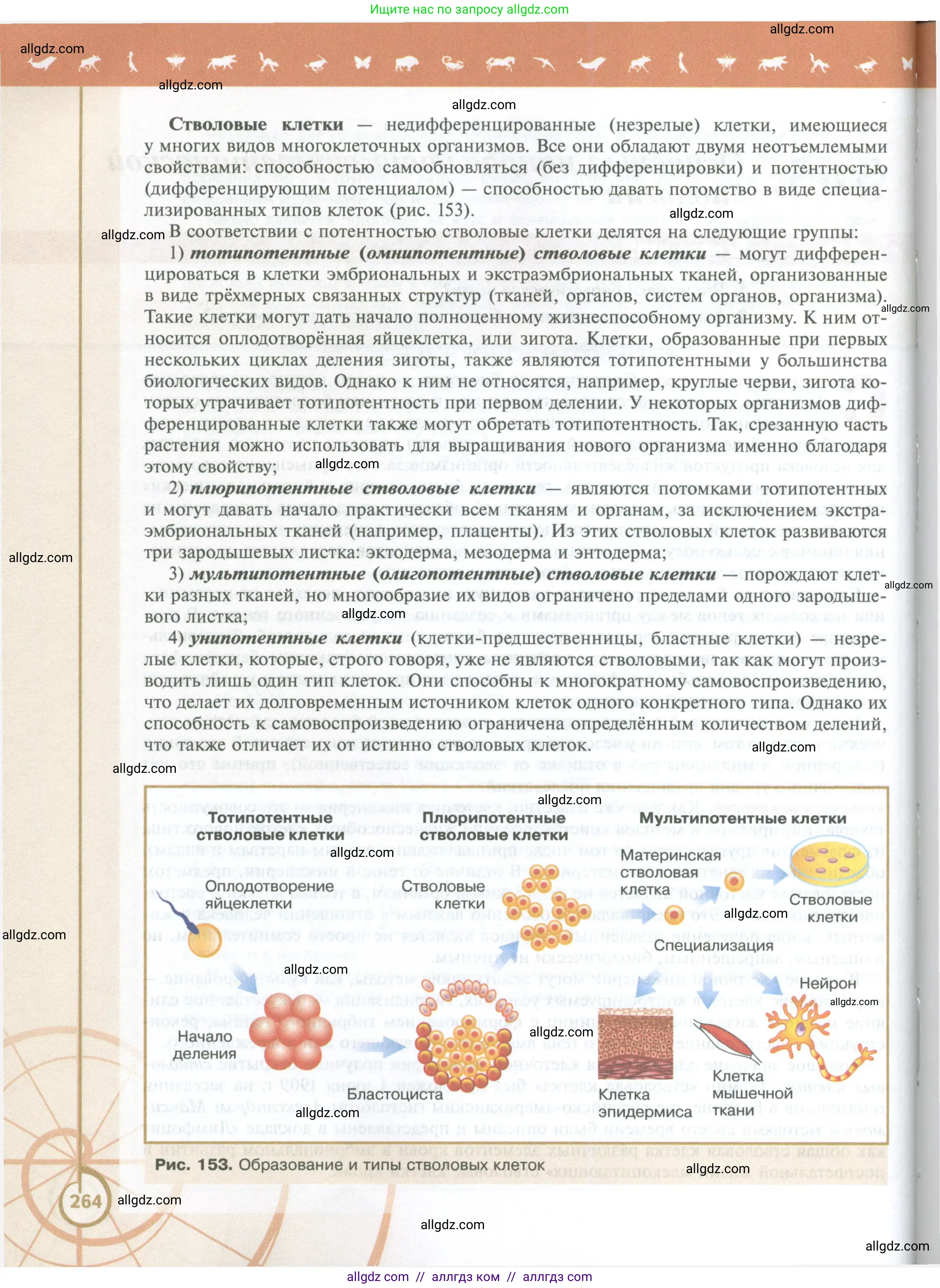 Биология, 10 класс Учебник, авторы: Пасечник Владимир Васильевич, Каменский Андрей Александрович, Рубцов Александр Михайлович, Швецов Глеб Геннадьевич, Абовян Леван Арташесович, Гапонюк Зоя Георгиевна, издательство Просвещение, Москва, 2024, коричневого цвета, страница 264
