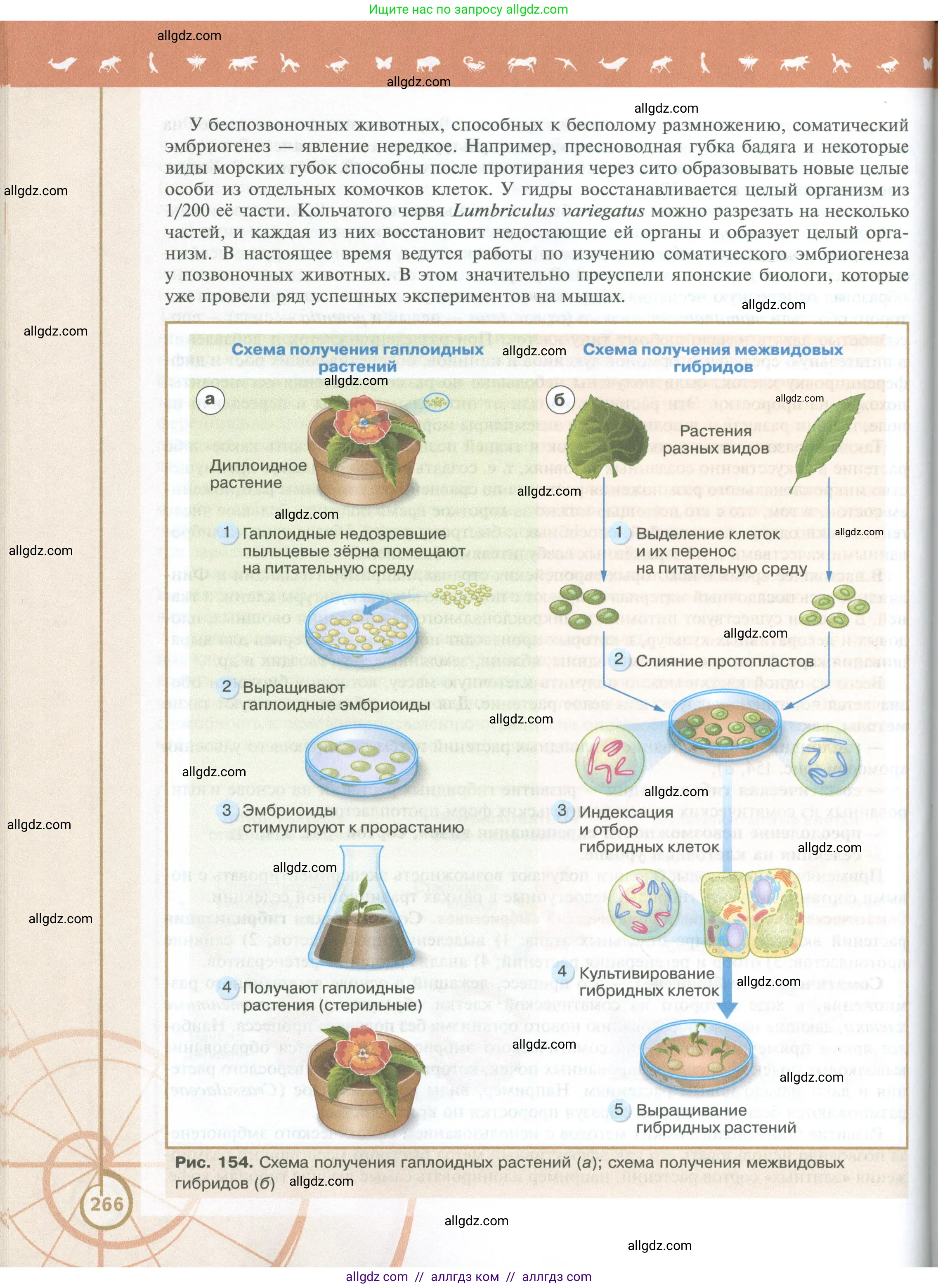 Биология, 10 класс Учебник, авторы: Пасечник Владимир Васильевич, Каменский Андрей Александрович, Рубцов Александр Михайлович, Швецов Глеб Геннадьевич, Абовян Леван Арташесович, Гапонюк Зоя Георгиевна, издательство Просвещение, Москва, 2024, коричневого цвета, страница 266