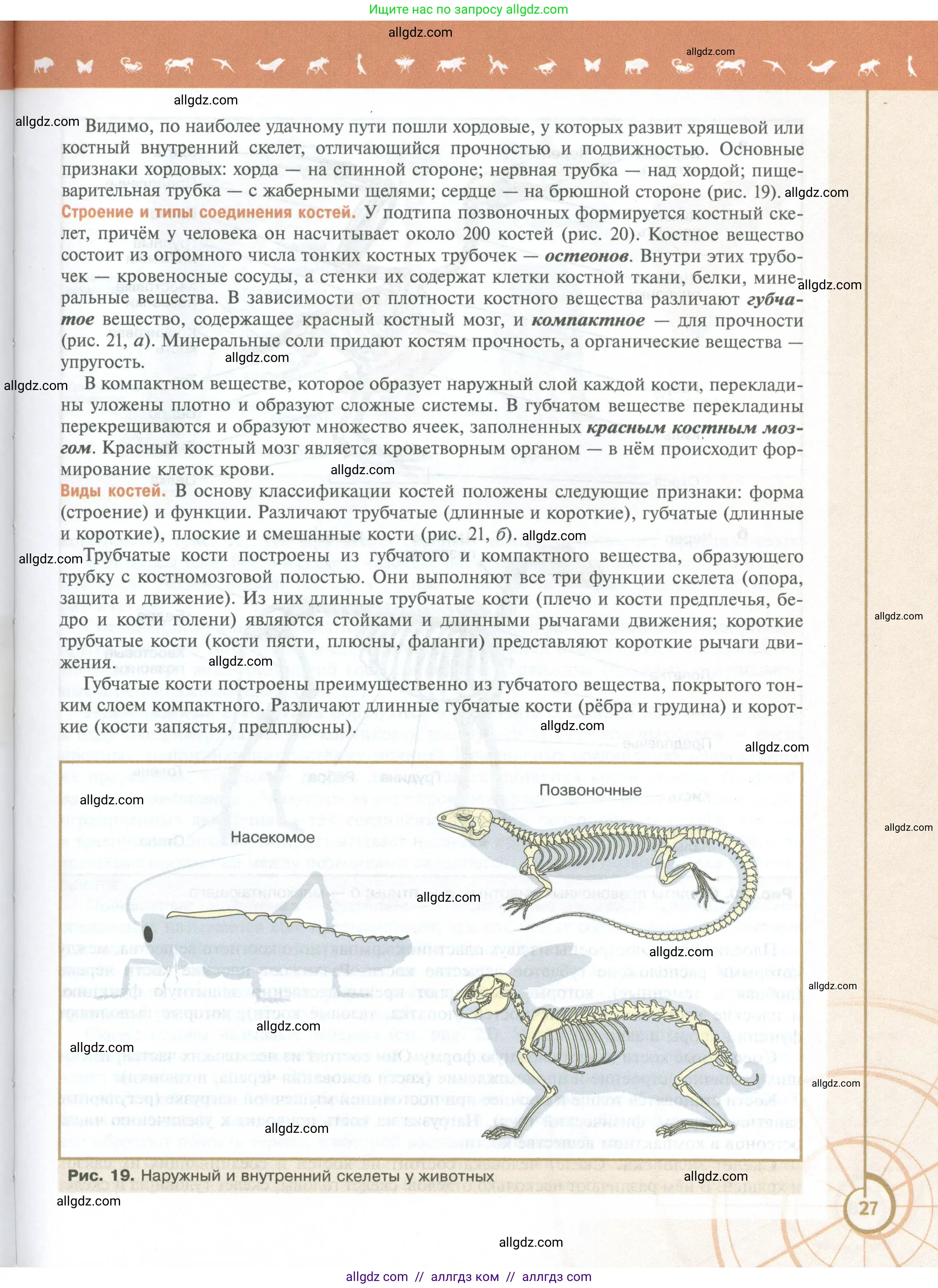 Биология, 10 класс Учебник, авторы: Пасечник Владимир Васильевич, Каменский Андрей Александрович, Рубцов Александр Михайлович, Швецов Глеб Геннадьевич, Абовян Леван Арташесович, Гапонюк Зоя Георгиевна, издательство Просвещение, Москва, 2024, коричневого цвета, страница 27