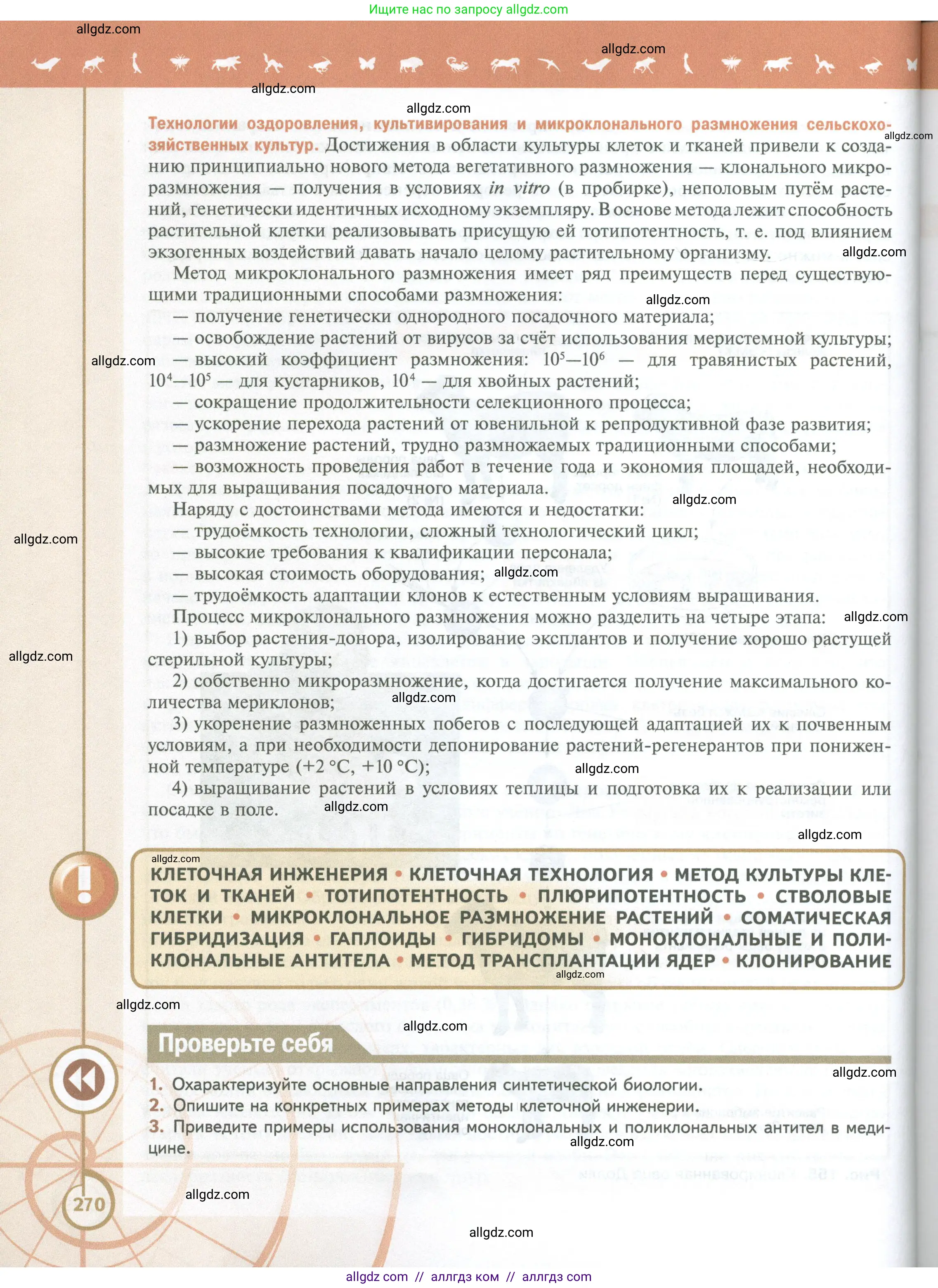 Биология, 10 класс Учебник, авторы: Пасечник Владимир Васильевич, Каменский Андрей Александрович, Рубцов Александр Михайлович, Швецов Глеб Геннадьевич, Абовян Леван Арташесович, Гапонюк Зоя Георгиевна, издательство Просвещение, Москва, 2024, коричневого цвета, Часть 2, страница 270