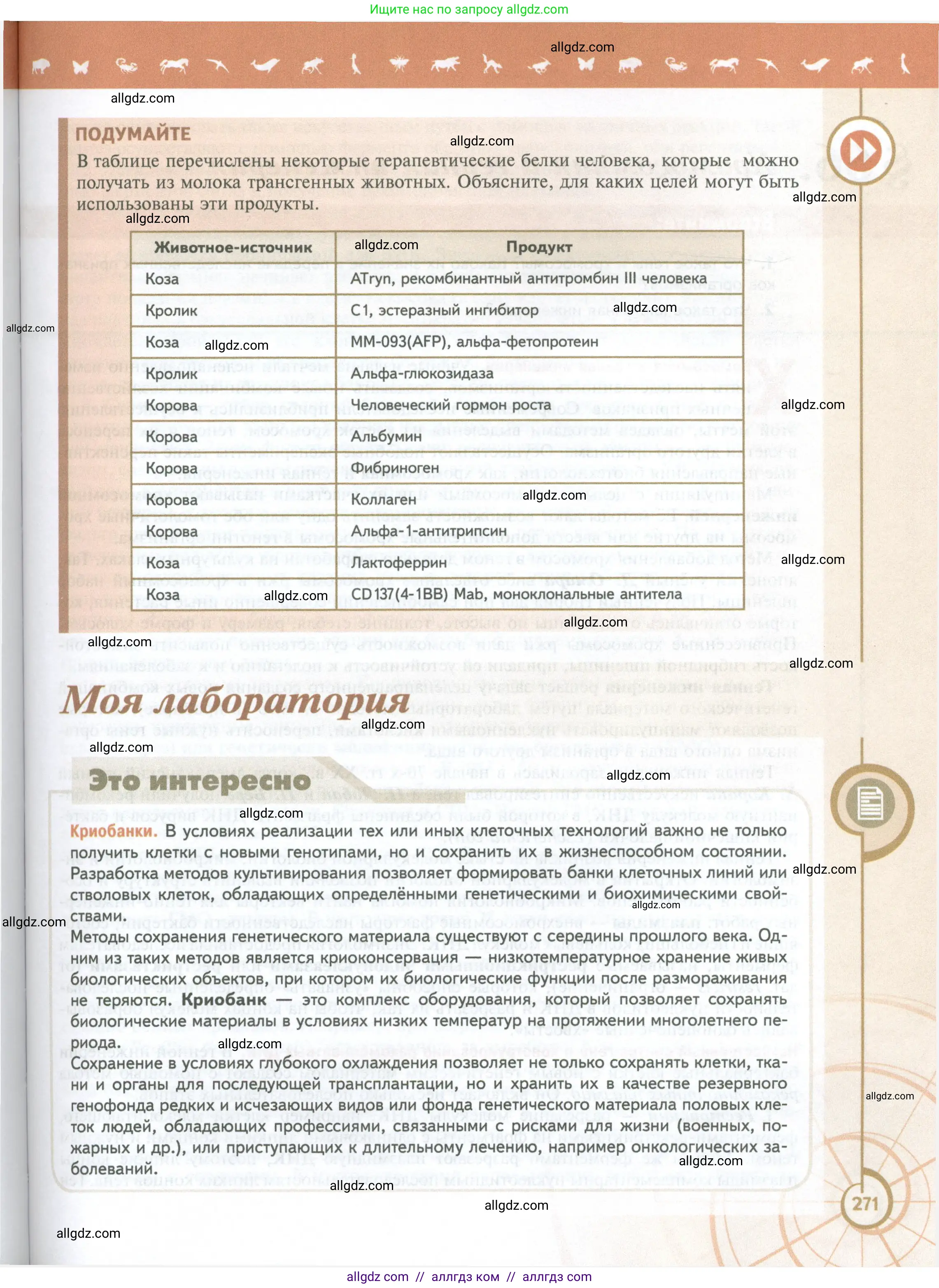 Биология, 10 класс Учебник, авторы: Пасечник Владимир Васильевич, Каменский Андрей Александрович, Рубцов Александр Михайлович, Швецов Глеб Геннадьевич, Абовян Леван Арташесович, Гапонюк Зоя Георгиевна, издательство Просвещение, Москва, 2024, коричневого цвета, Часть 2, страница 271
