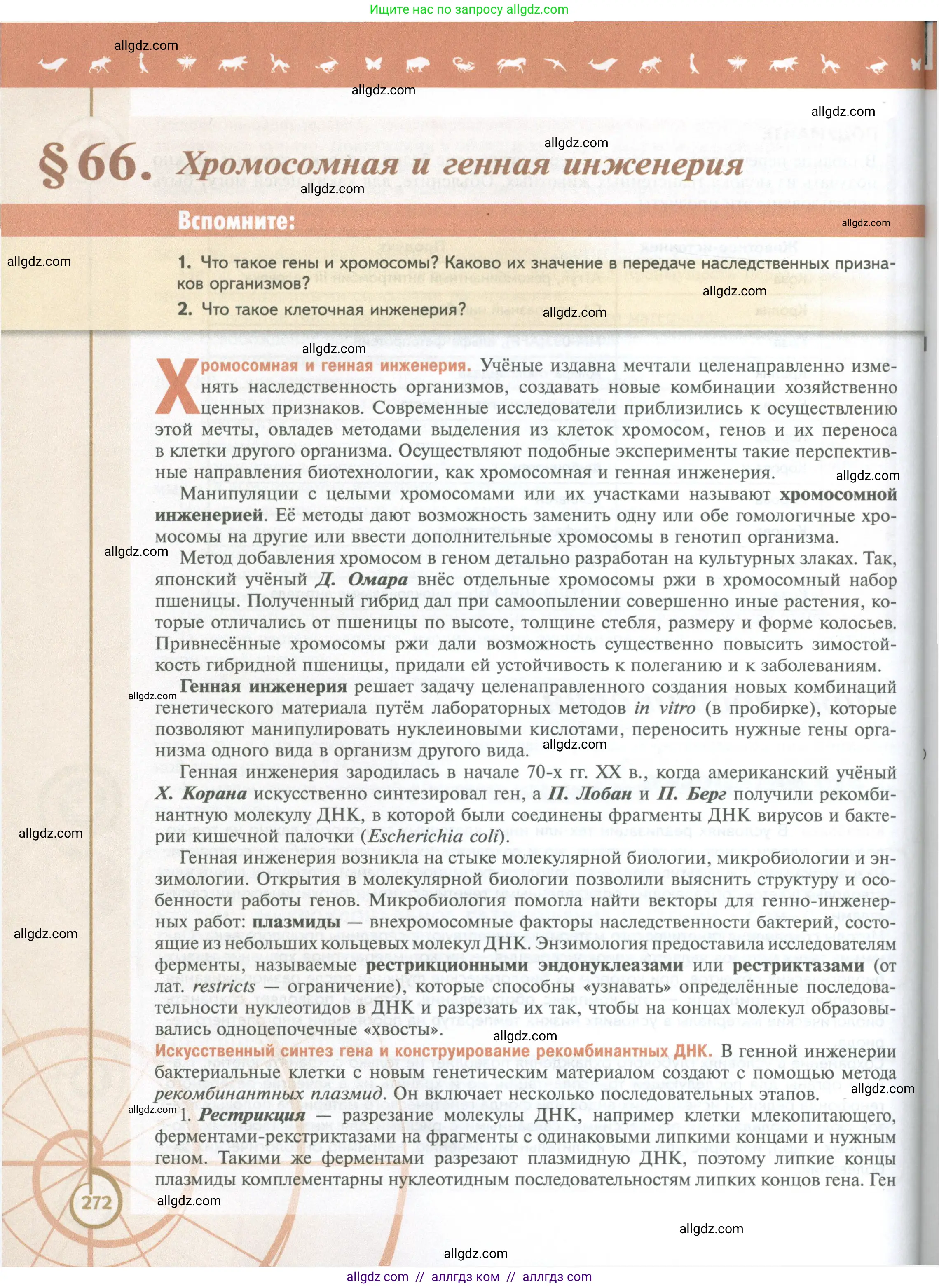 Биология, 10 класс Учебник, авторы: Пасечник Владимир Васильевич, Каменский Андрей Александрович, Рубцов Александр Михайлович, Швецов Глеб Геннадьевич, Абовян Леван Арташесович, Гапонюк Зоя Георгиевна, издательство Просвещение, Москва, 2024, коричневого цвета, Часть 2, страница 272