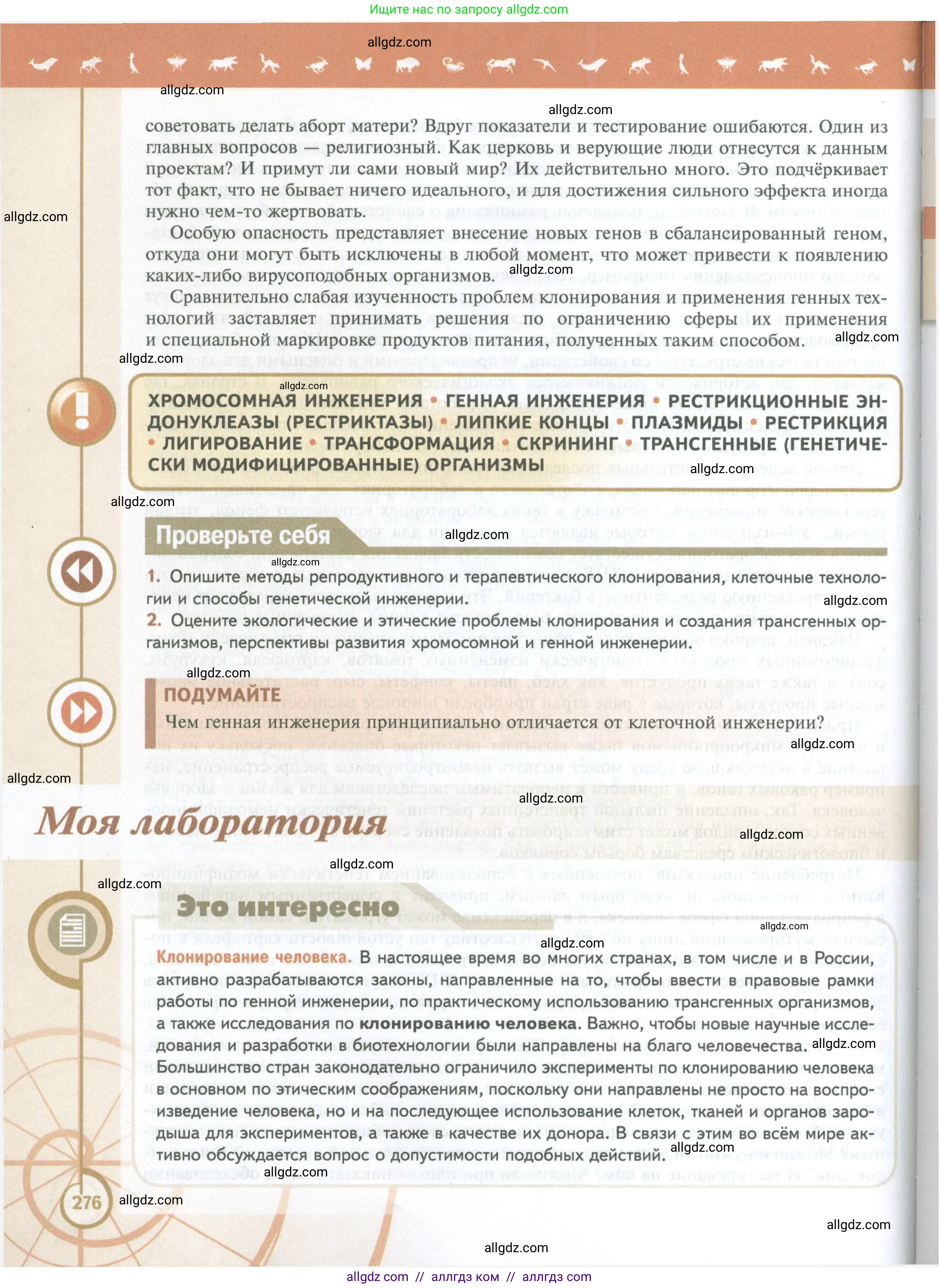 Биология, 10 класс Учебник, авторы: Пасечник Владимир Васильевич, Каменский Андрей Александрович, Рубцов Александр Михайлович, Швецов Глеб Геннадьевич, Абовян Леван Арташесович, Гапонюк Зоя Георгиевна, издательство Просвещение, Москва, 2024, коричневого цвета, Часть 2, страница 276