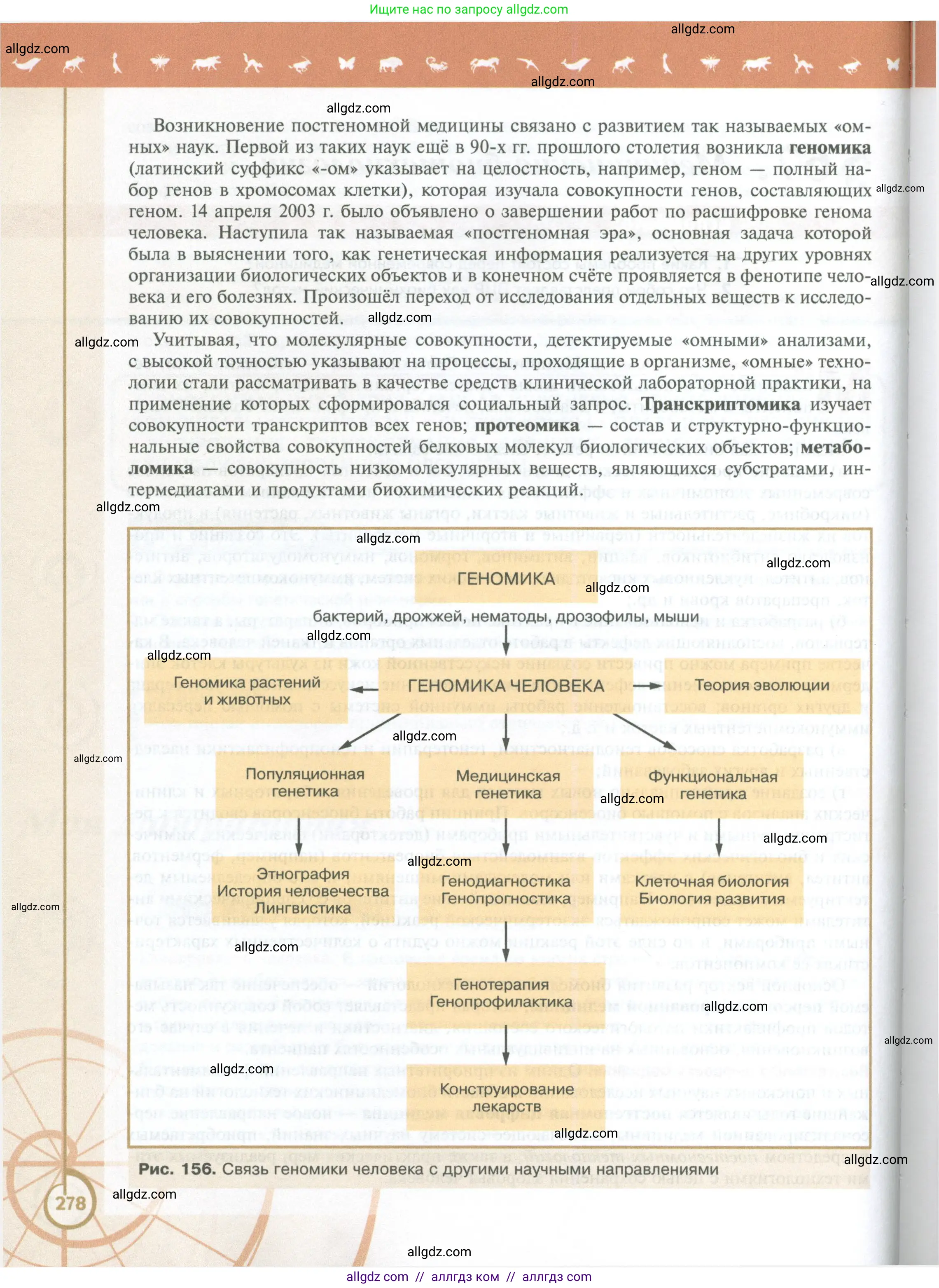 Биология, 10 класс Учебник, авторы: Пасечник Владимир Васильевич, Каменский Андрей Александрович, Рубцов Александр Михайлович, Швецов Глеб Геннадьевич, Абовян Леван Арташесович, Гапонюк Зоя Георгиевна, издательство Просвещение, Москва, 2024, коричневого цвета, страница 278