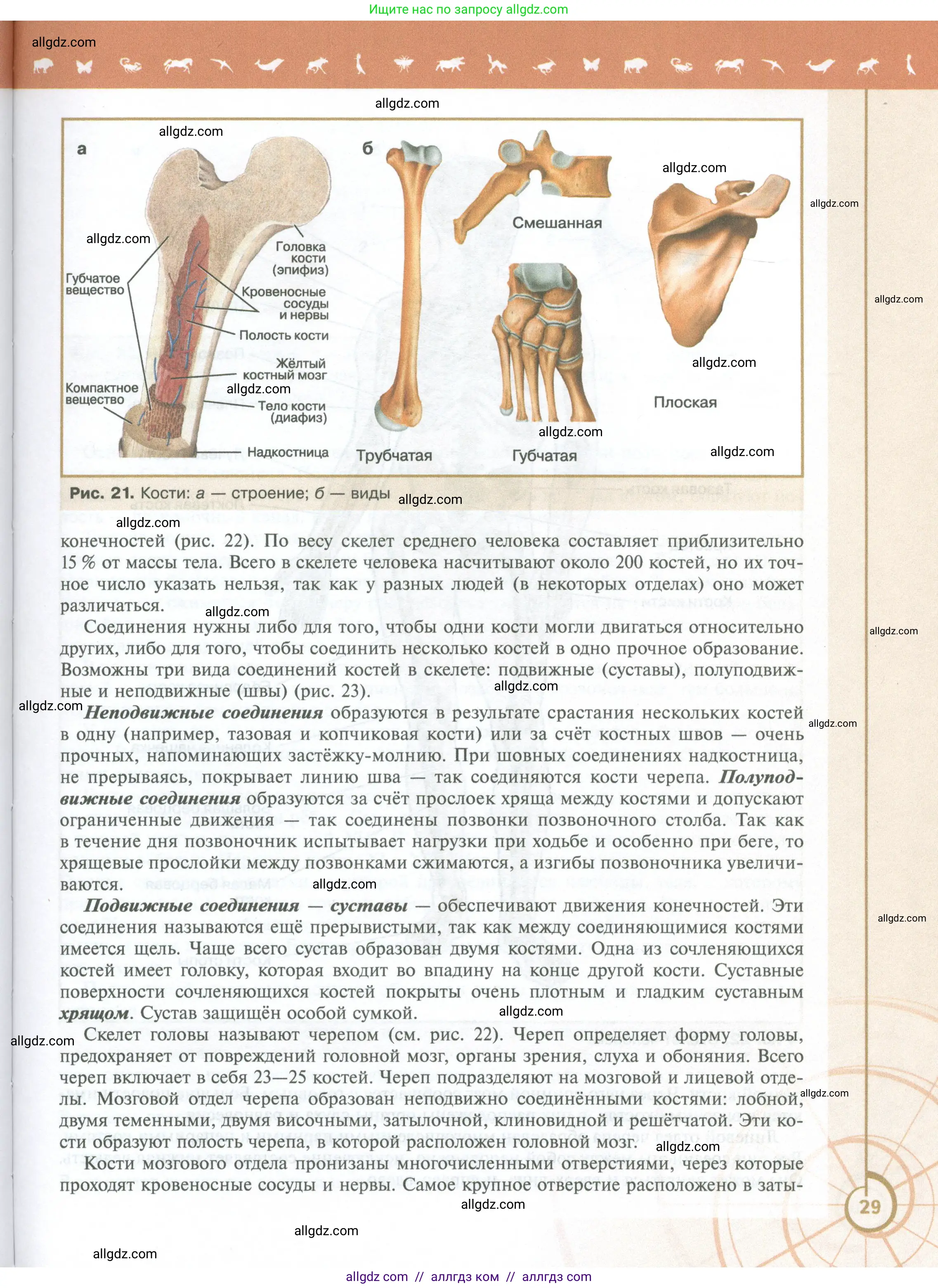 Биология, 10 класс Учебник, авторы: Пасечник Владимир Васильевич, Каменский Андрей Александрович, Рубцов Александр Михайлович, Швецов Глеб Геннадьевич, Абовян Леван Арташесович, Гапонюк Зоя Георгиевна, издательство Просвещение, Москва, 2024, коричневого цвета, страница 29