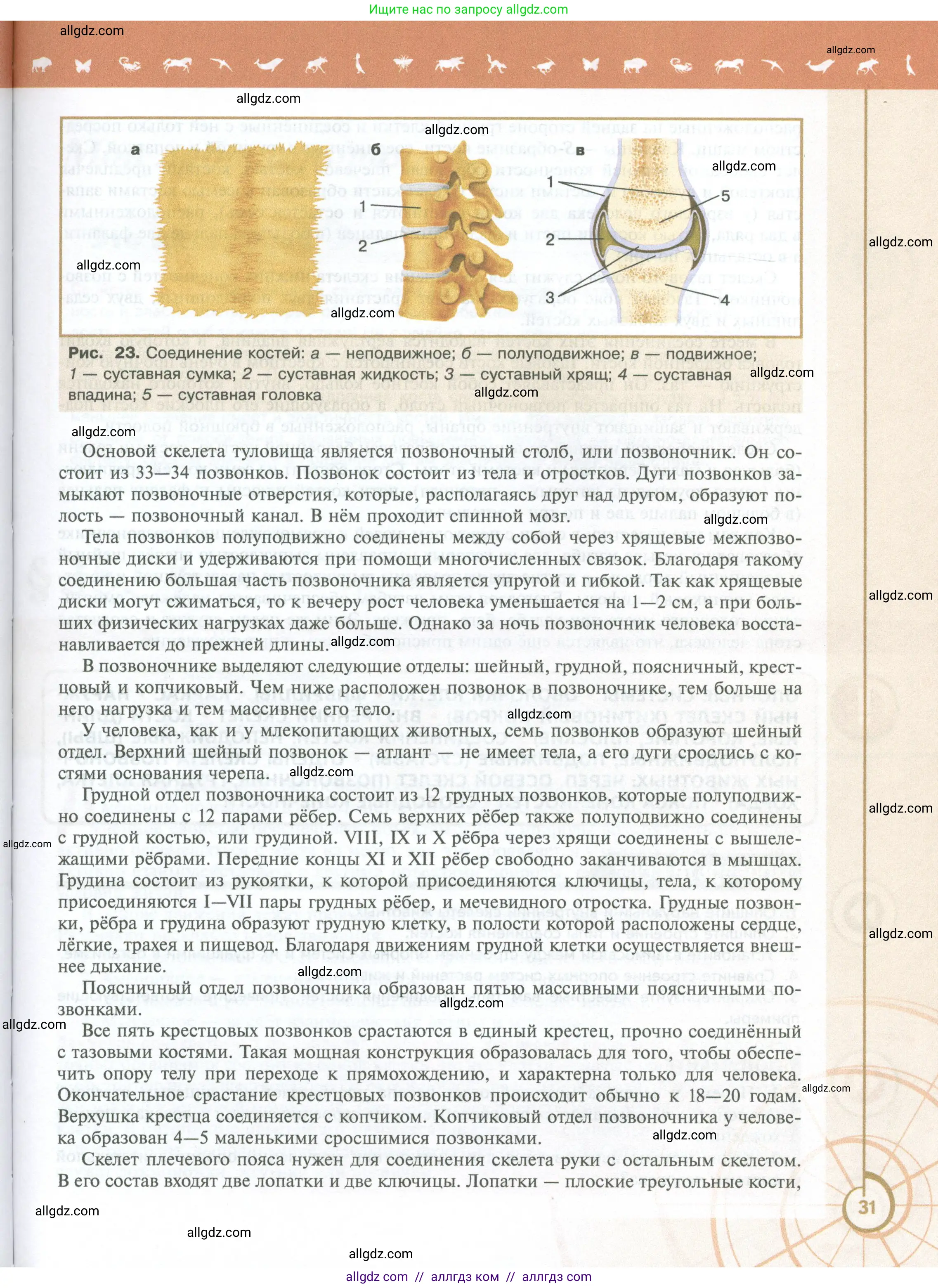 Биология, 10 класс Учебник, авторы: Пасечник Владимир Васильевич, Каменский Андрей Александрович, Рубцов Александр Михайлович, Швецов Глеб Геннадьевич, Абовян Леван Арташесович, Гапонюк Зоя Георгиевна, издательство Просвещение, Москва, 2024, коричневого цвета, страница 31