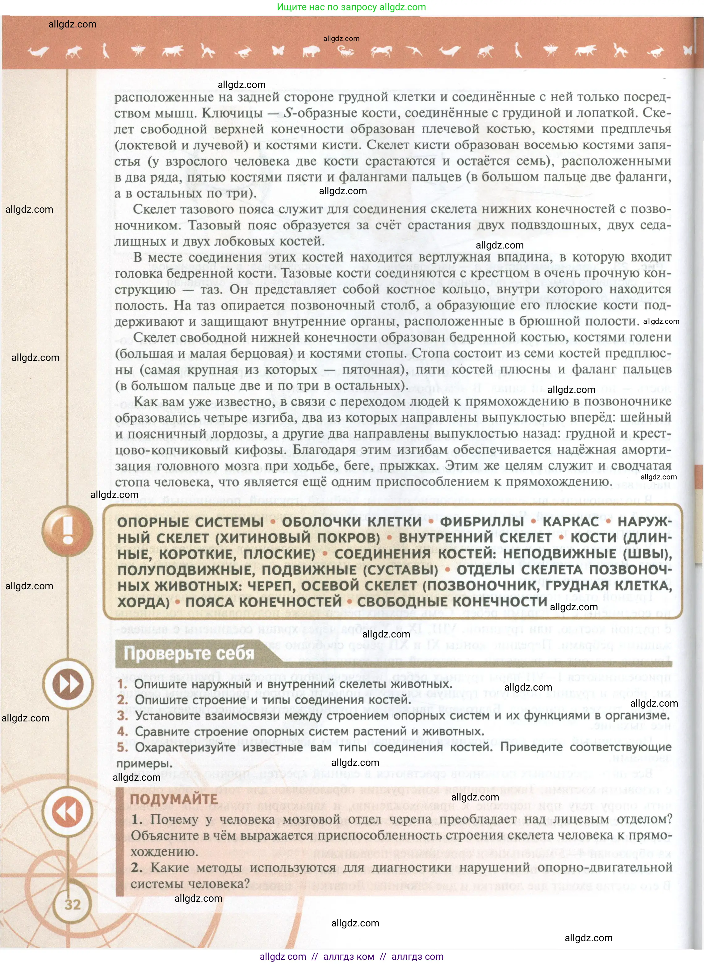 Биология, 10 класс Учебник, авторы: Пасечник Владимир Васильевич, Каменский Андрей Александрович, Рубцов Александр Михайлович, Швецов Глеб Геннадьевич, Абовян Леван Арташесович, Гапонюк Зоя Георгиевна, издательство Просвещение, Москва, 2024, коричневого цвета, Часть 2, страница 32