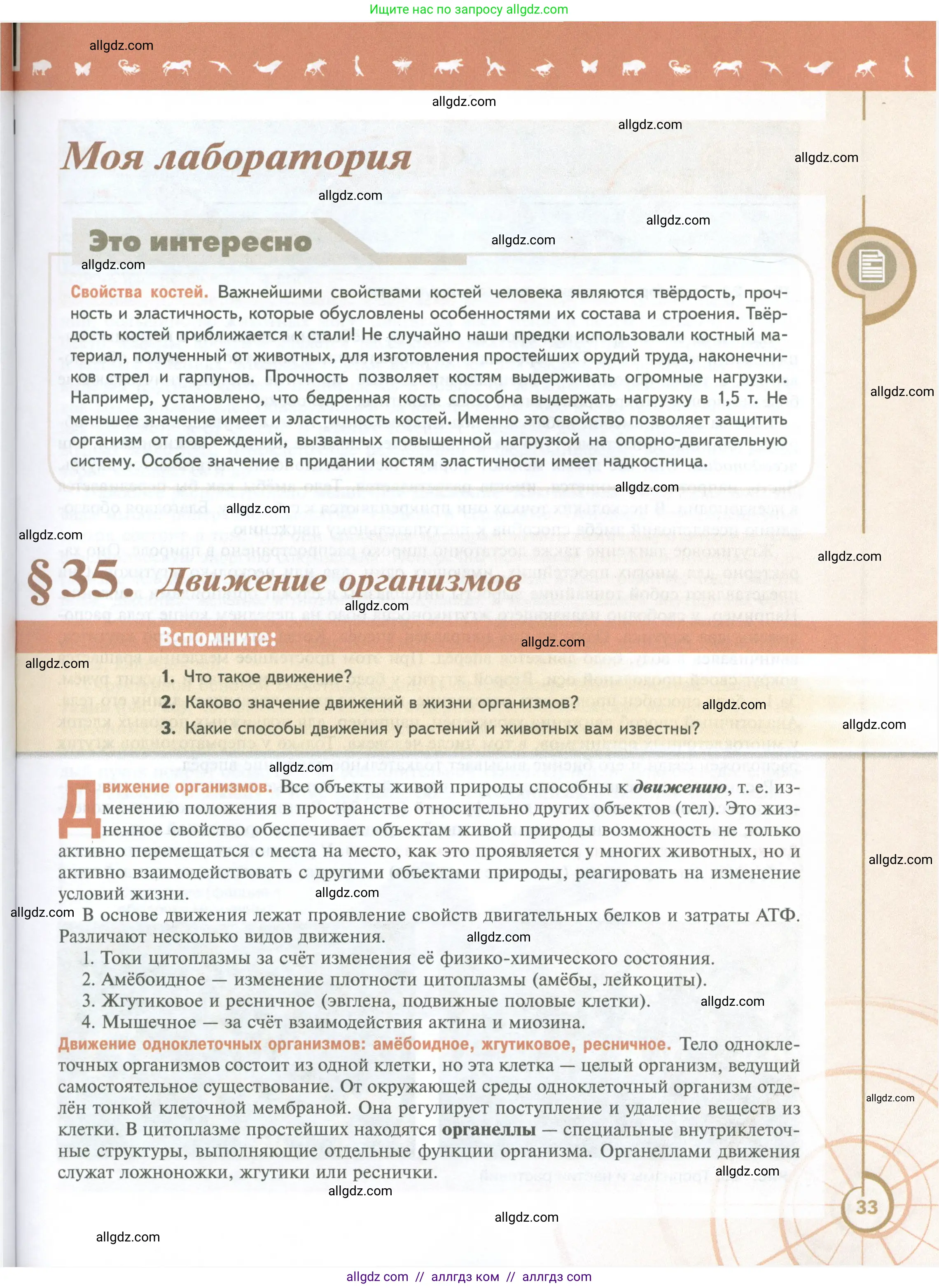 Биология, 10 класс Учебник, авторы: Пасечник Владимир Васильевич, Каменский Андрей Александрович, Рубцов Александр Михайлович, Швецов Глеб Геннадьевич, Абовян Леван Арташесович, Гапонюк Зоя Георгиевна, издательство Просвещение, Москва, 2024, коричневого цвета, Часть 2, страница 33