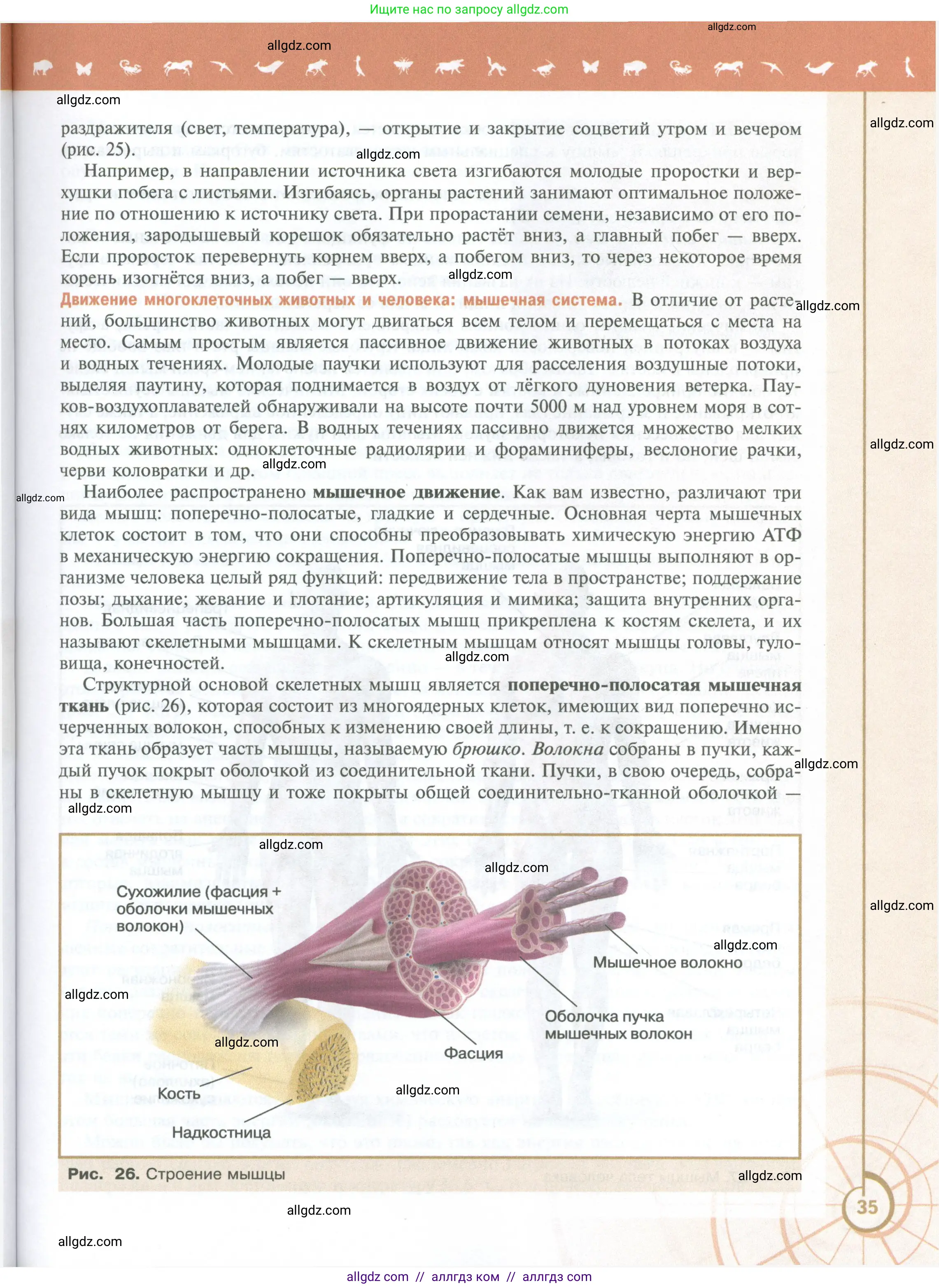 Биология, 10 класс Учебник, авторы: Пасечник Владимир Васильевич, Каменский Андрей Александрович, Рубцов Александр Михайлович, Швецов Глеб Геннадьевич, Абовян Леван Арташесович, Гапонюк Зоя Георгиевна, издательство Просвещение, Москва, 2024, коричневого цвета, страница 35