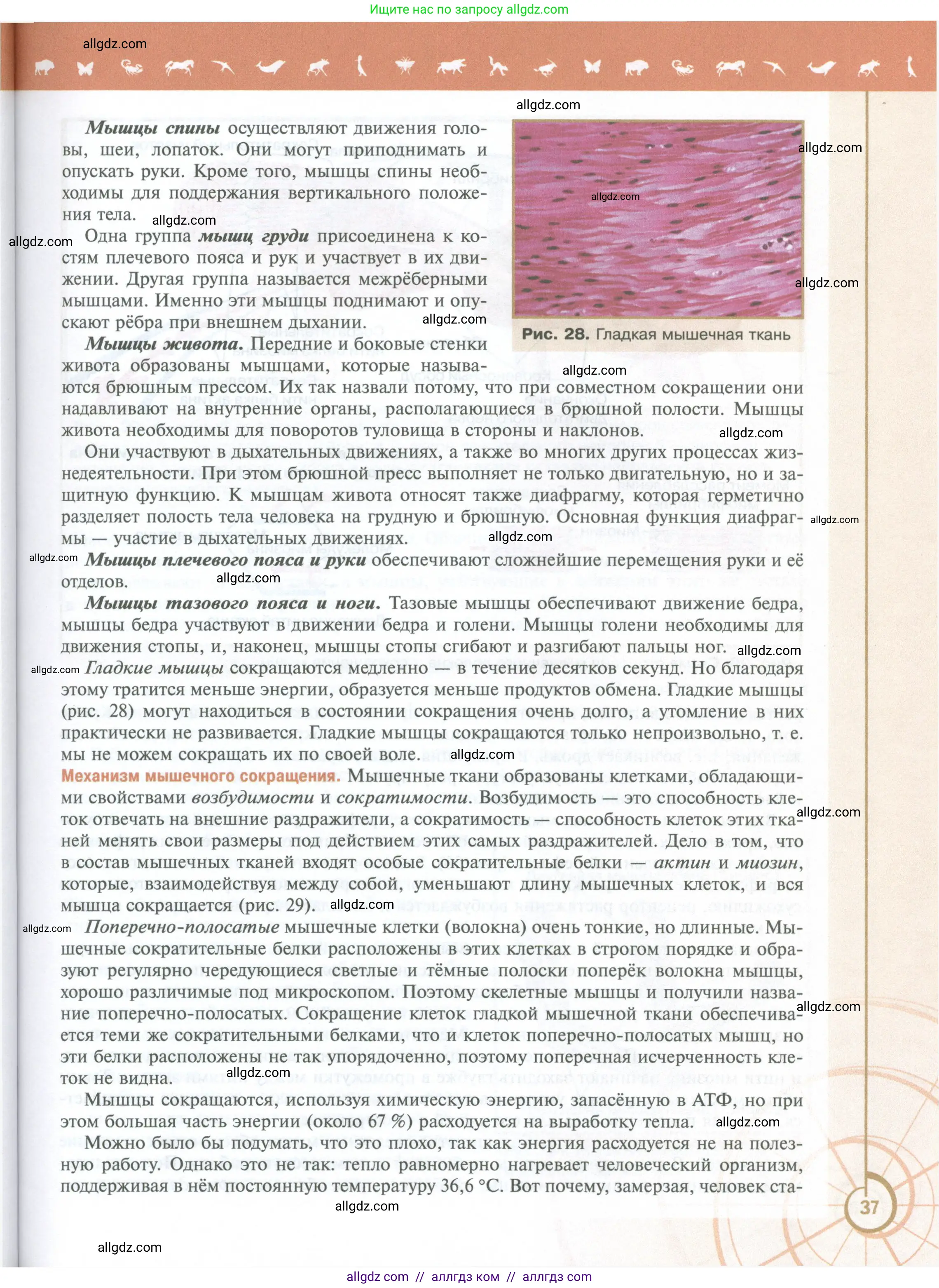 Биология, 10 класс Учебник, авторы: Пасечник Владимир Васильевич, Каменский Андрей Александрович, Рубцов Александр Михайлович, Швецов Глеб Геннадьевич, Абовян Леван Арташесович, Гапонюк Зоя Георгиевна, издательство Просвещение, Москва, 2024, коричневого цвета, страница 37
