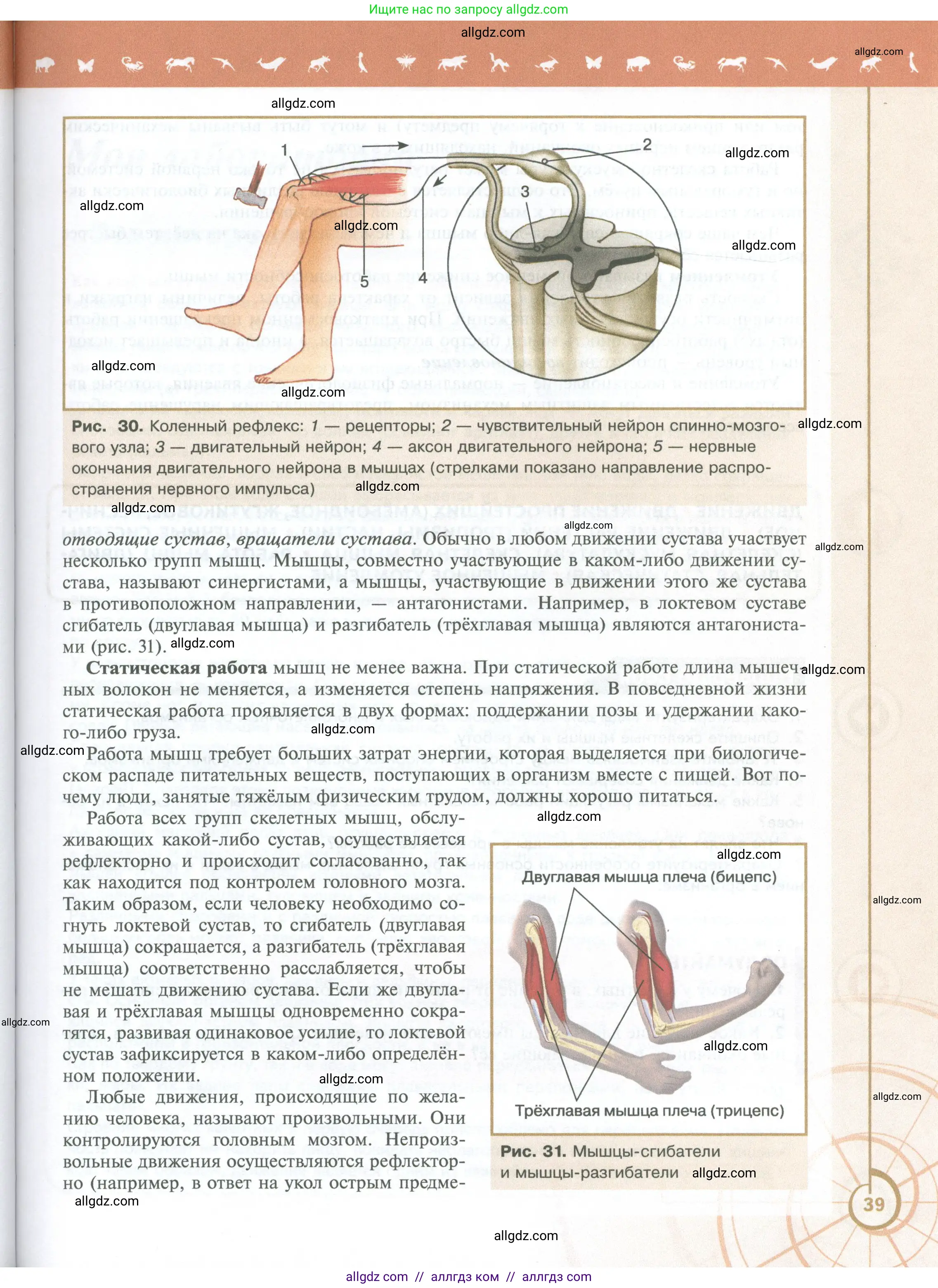 Биология, 10 класс Учебник, авторы: Пасечник Владимир Васильевич, Каменский Андрей Александрович, Рубцов Александр Михайлович, Швецов Глеб Геннадьевич, Абовян Леван Арташесович, Гапонюк Зоя Георгиевна, издательство Просвещение, Москва, 2024, коричневого цвета, страница 39