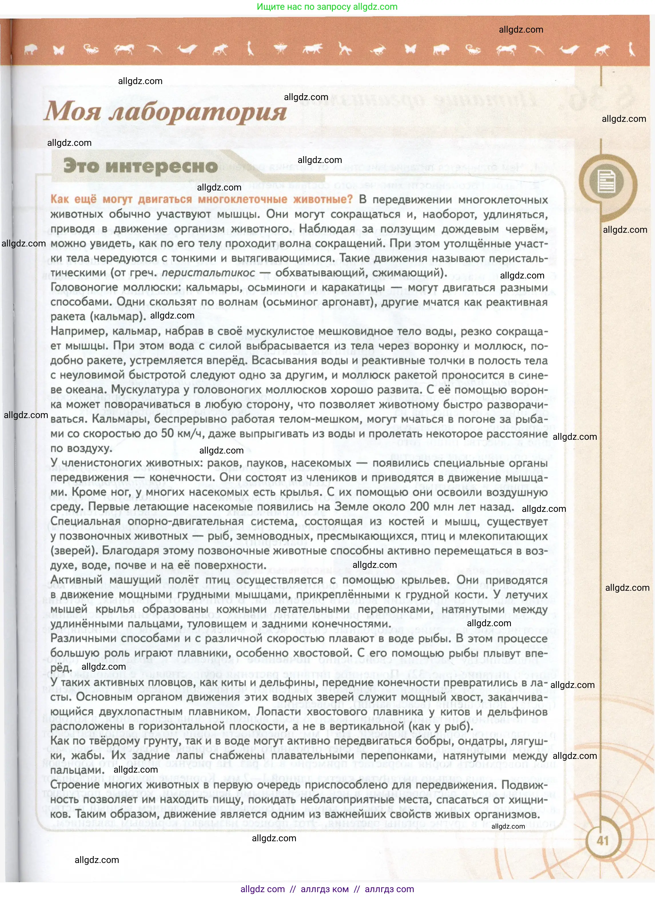 Биология, 10 класс Учебник, авторы: Пасечник Владимир Васильевич, Каменский Андрей Александрович, Рубцов Александр Михайлович, Швецов Глеб Геннадьевич, Абовян Леван Арташесович, Гапонюк Зоя Георгиевна, издательство Просвещение, Москва, 2024, коричневого цвета, страница 41