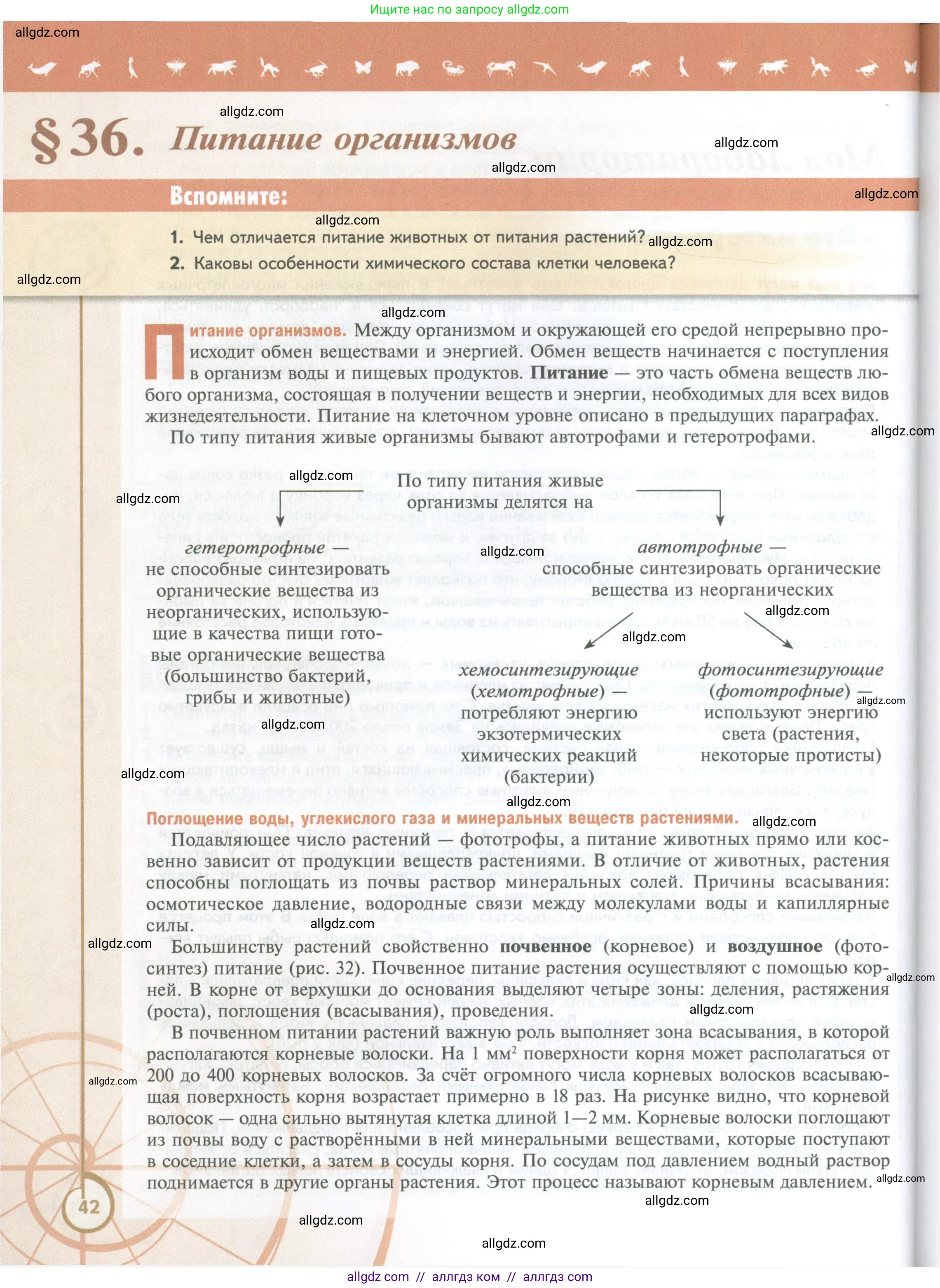 Биология, 10 класс Учебник, авторы: Пасечник Владимир Васильевич, Каменский Андрей Александрович, Рубцов Александр Михайлович, Швецов Глеб Геннадьевич, Абовян Леван Арташесович, Гапонюк Зоя Георгиевна, издательство Просвещение, Москва, 2024, коричневого цвета, Часть 2, страница 42
