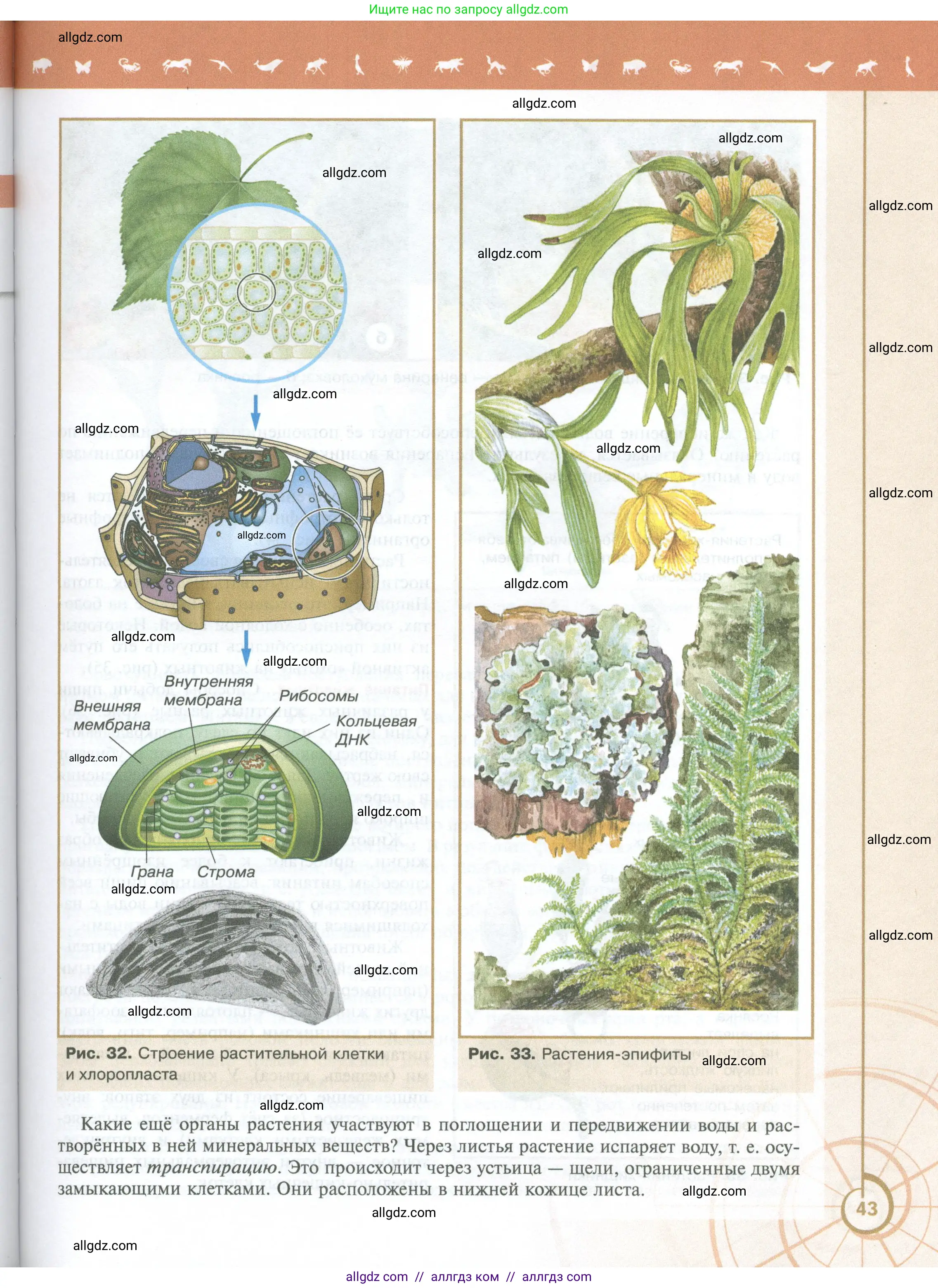 Биология, 10 класс Учебник, авторы: Пасечник Владимир Васильевич, Каменский Андрей Александрович, Рубцов Александр Михайлович, Швецов Глеб Геннадьевич, Абовян Леван Арташесович, Гапонюк Зоя Георгиевна, издательство Просвещение, Москва, 2024, коричневого цвета, страница 43