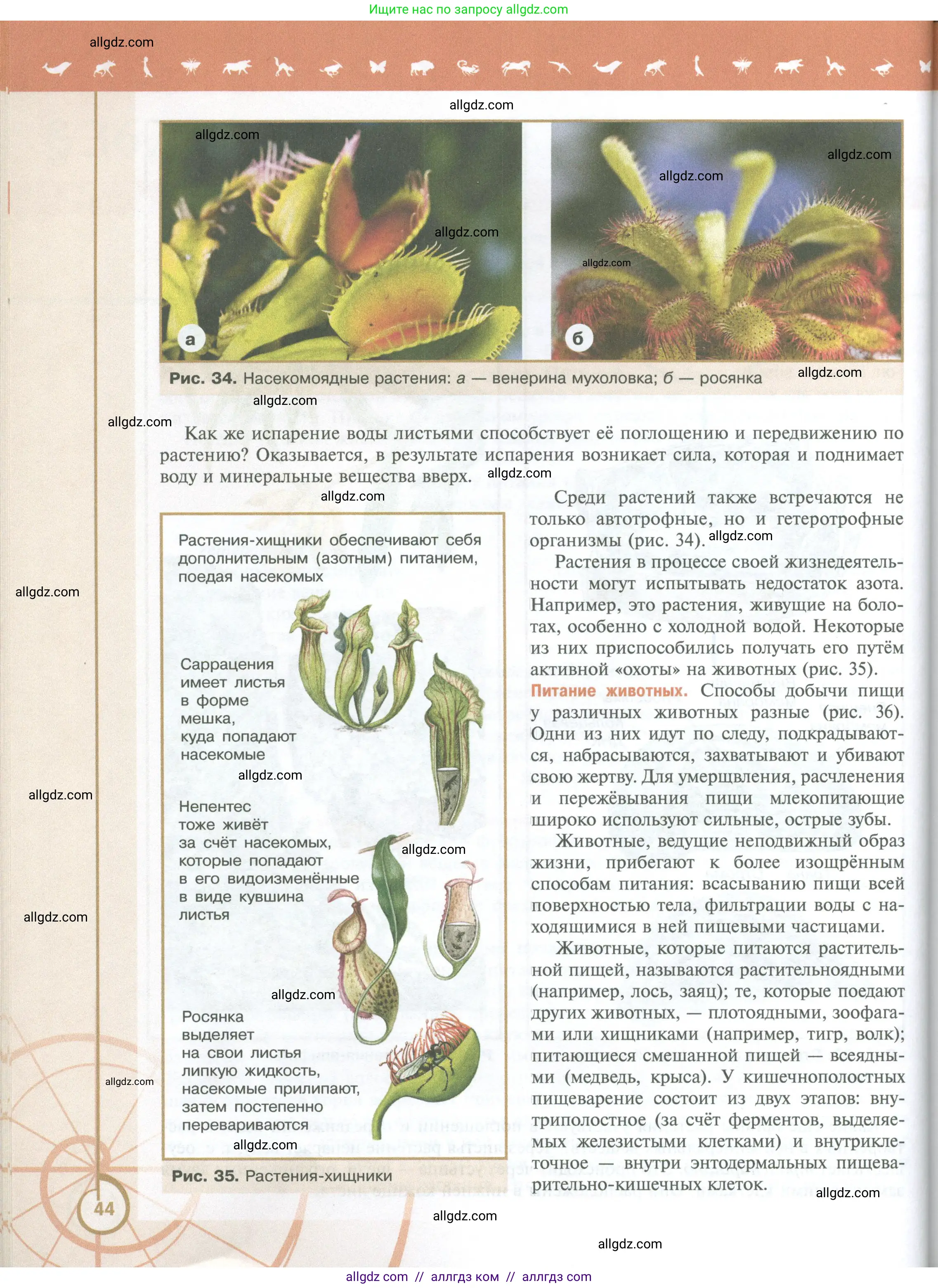 Биология, 10 класс Учебник, авторы: Пасечник Владимир Васильевич, Каменский Андрей Александрович, Рубцов Александр Михайлович, Швецов Глеб Геннадьевич, Абовян Леван Арташесович, Гапонюк Зоя Георгиевна, издательство Просвещение, Москва, 2024, коричневого цвета, страница 44
