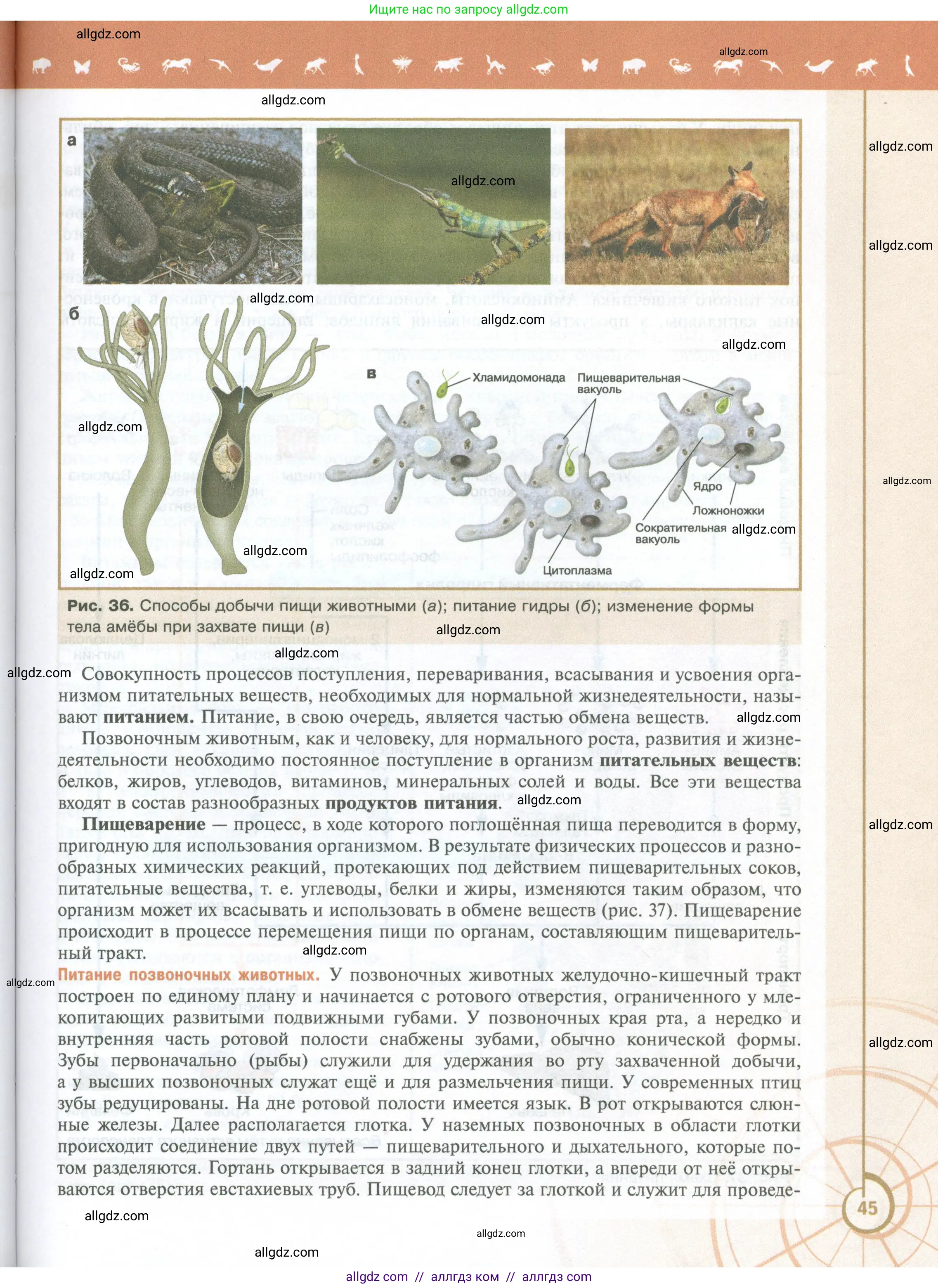 Биология, 10 класс Учебник, авторы: Пасечник Владимир Васильевич, Каменский Андрей Александрович, Рубцов Александр Михайлович, Швецов Глеб Геннадьевич, Абовян Леван Арташесович, Гапонюк Зоя Георгиевна, издательство Просвещение, Москва, 2024, коричневого цвета, страница 45
