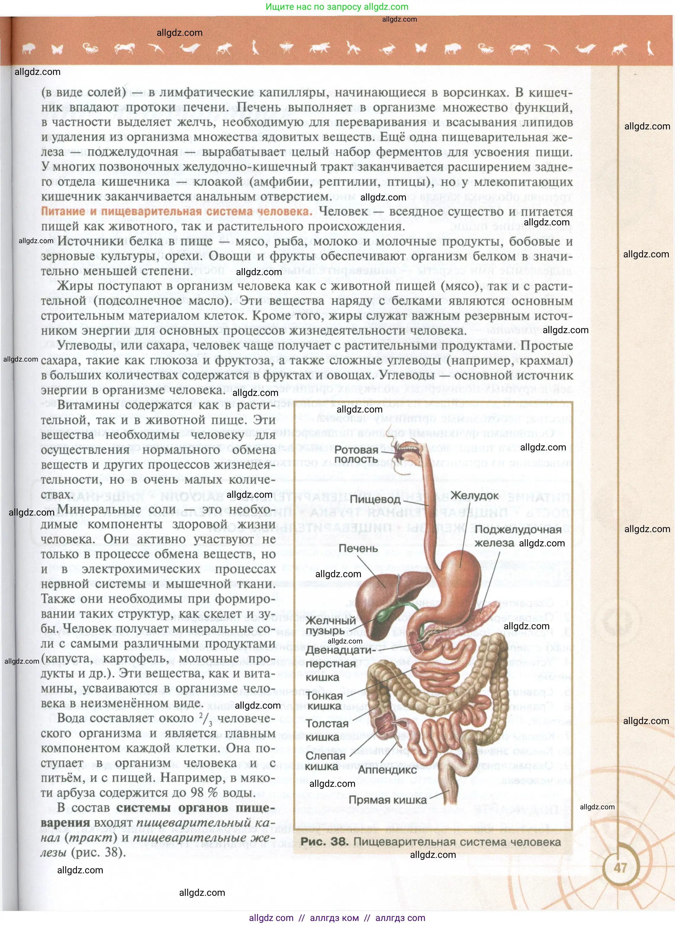 Биология, 10 класс Учебник, авторы: Пасечник Владимир Васильевич, Каменский Андрей Александрович, Рубцов Александр Михайлович, Швецов Глеб Геннадьевич, Абовян Леван Арташесович, Гапонюк Зоя Георгиевна, издательство Просвещение, Москва, 2024, коричневого цвета, страница 47