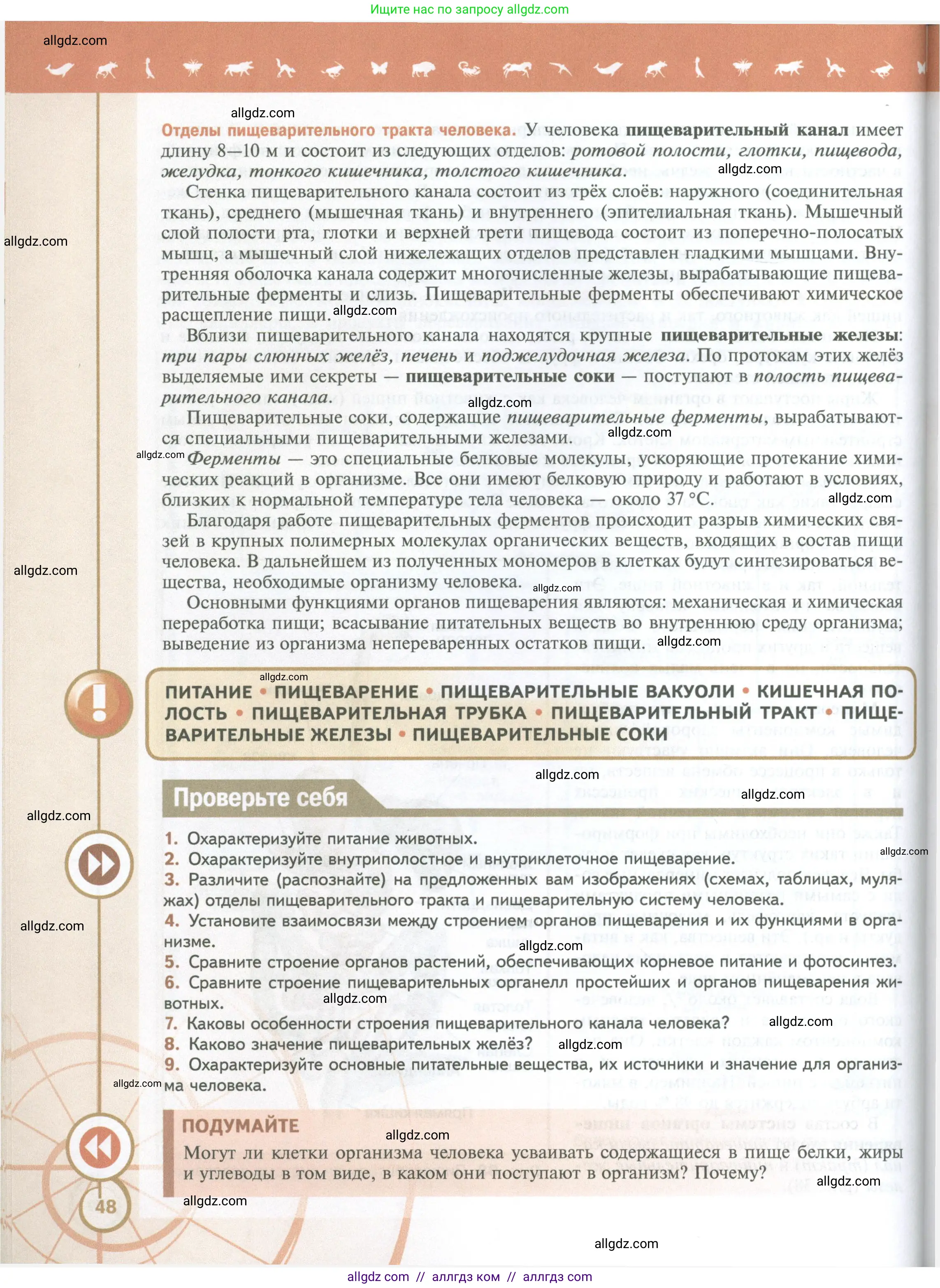 Биология, 10 класс Учебник, авторы: Пасечник Владимир Васильевич, Каменский Андрей Александрович, Рубцов Александр Михайлович, Швецов Глеб Геннадьевич, Абовян Леван Арташесович, Гапонюк Зоя Георгиевна, издательство Просвещение, Москва, 2024, коричневого цвета, Часть 2, страница 48