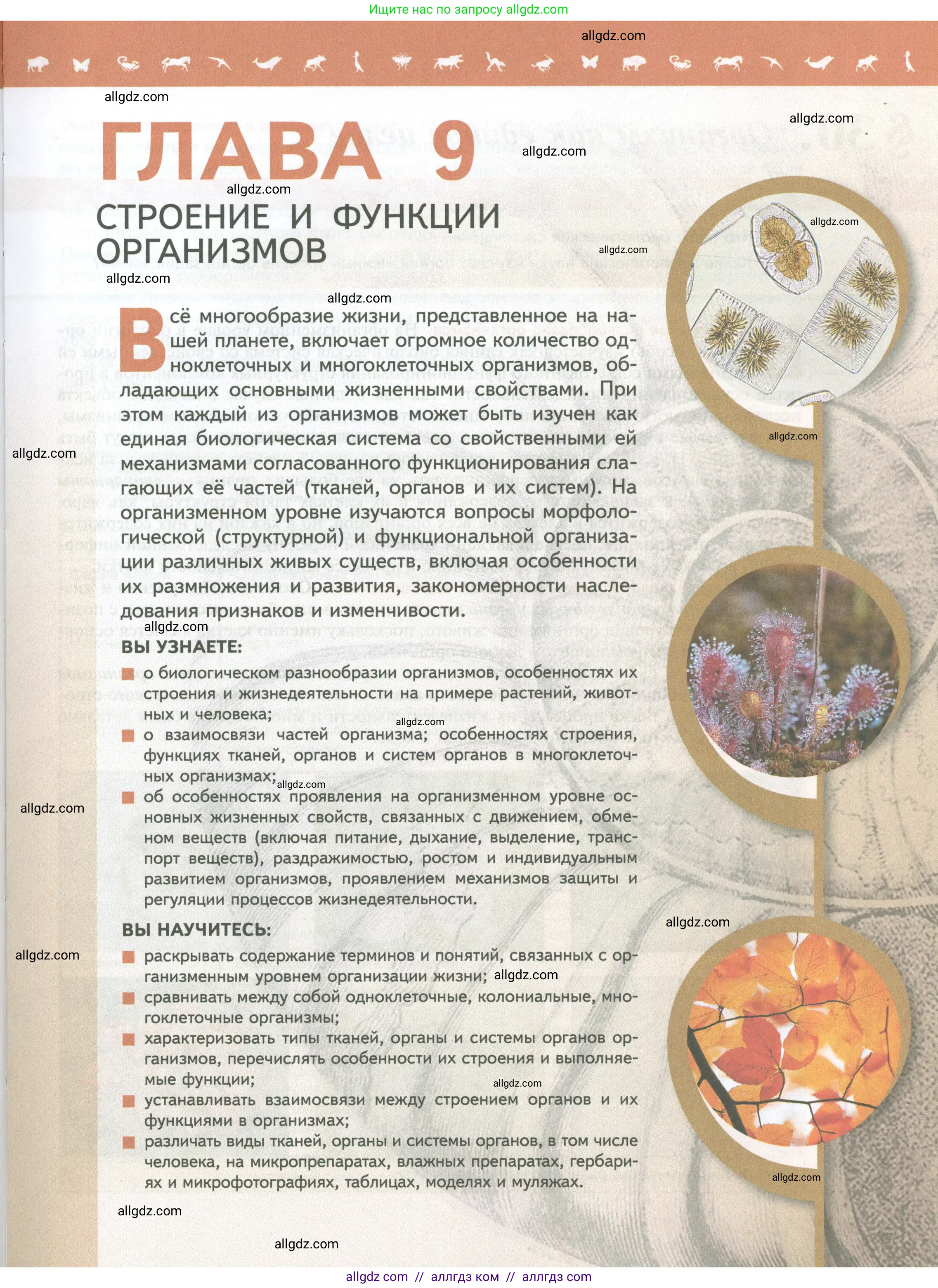 Биология, 10 класс Учебник, авторы: Пасечник Владимир Васильевич, Каменский Андрей Александрович, Рубцов Александр Михайлович, Швецов Глеб Геннадьевич, Абовян Леван Арташесович, Гапонюк Зоя Георгиевна, издательство Просвещение, Москва, 2024, коричневого цвета, страница 5