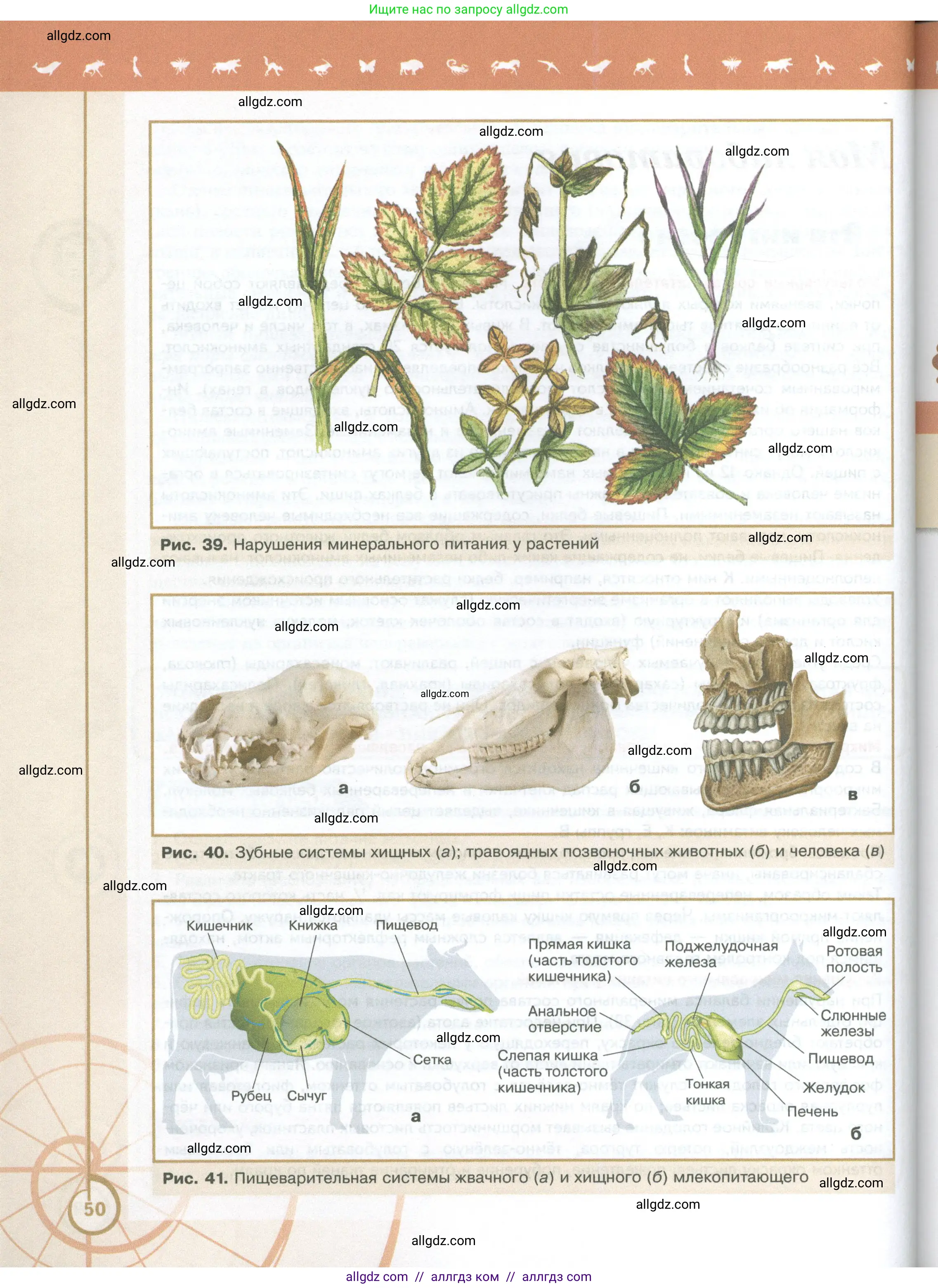Биология, 10 класс Учебник, авторы: Пасечник Владимир Васильевич, Каменский Андрей Александрович, Рубцов Александр Михайлович, Швецов Глеб Геннадьевич, Абовян Леван Арташесович, Гапонюк Зоя Георгиевна, издательство Просвещение, Москва, 2024, коричневого цвета, страница 50