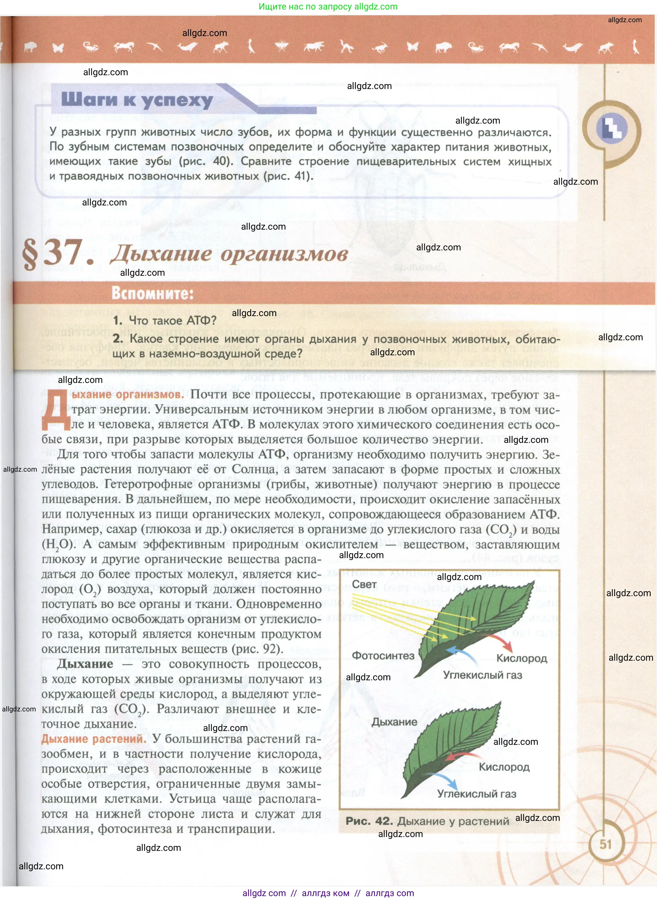 Биология, 10 класс Учебник, авторы: Пасечник Владимир Васильевич, Каменский Андрей Александрович, Рубцов Александр Михайлович, Швецов Глеб Геннадьевич, Абовян Леван Арташесович, Гапонюк Зоя Георгиевна, издательство Просвещение, Москва, 2024, коричневого цвета, Часть 2, страница 51