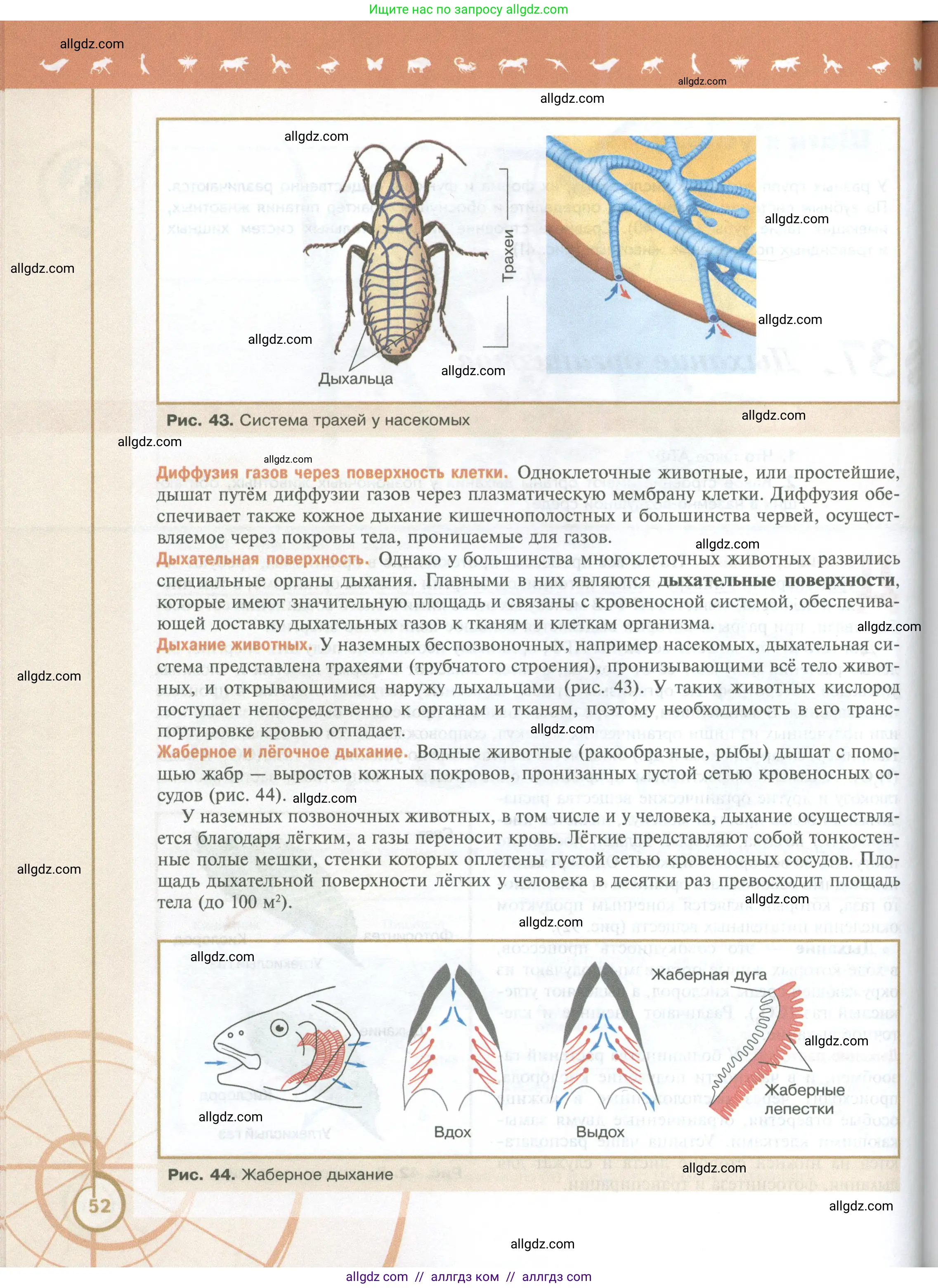 Биология, 10 класс Учебник, авторы: Пасечник Владимир Васильевич, Каменский Андрей Александрович, Рубцов Александр Михайлович, Швецов Глеб Геннадьевич, Абовян Леван Арташесович, Гапонюк Зоя Георгиевна, издательство Просвещение, Москва, 2024, коричневого цвета, страница 52
