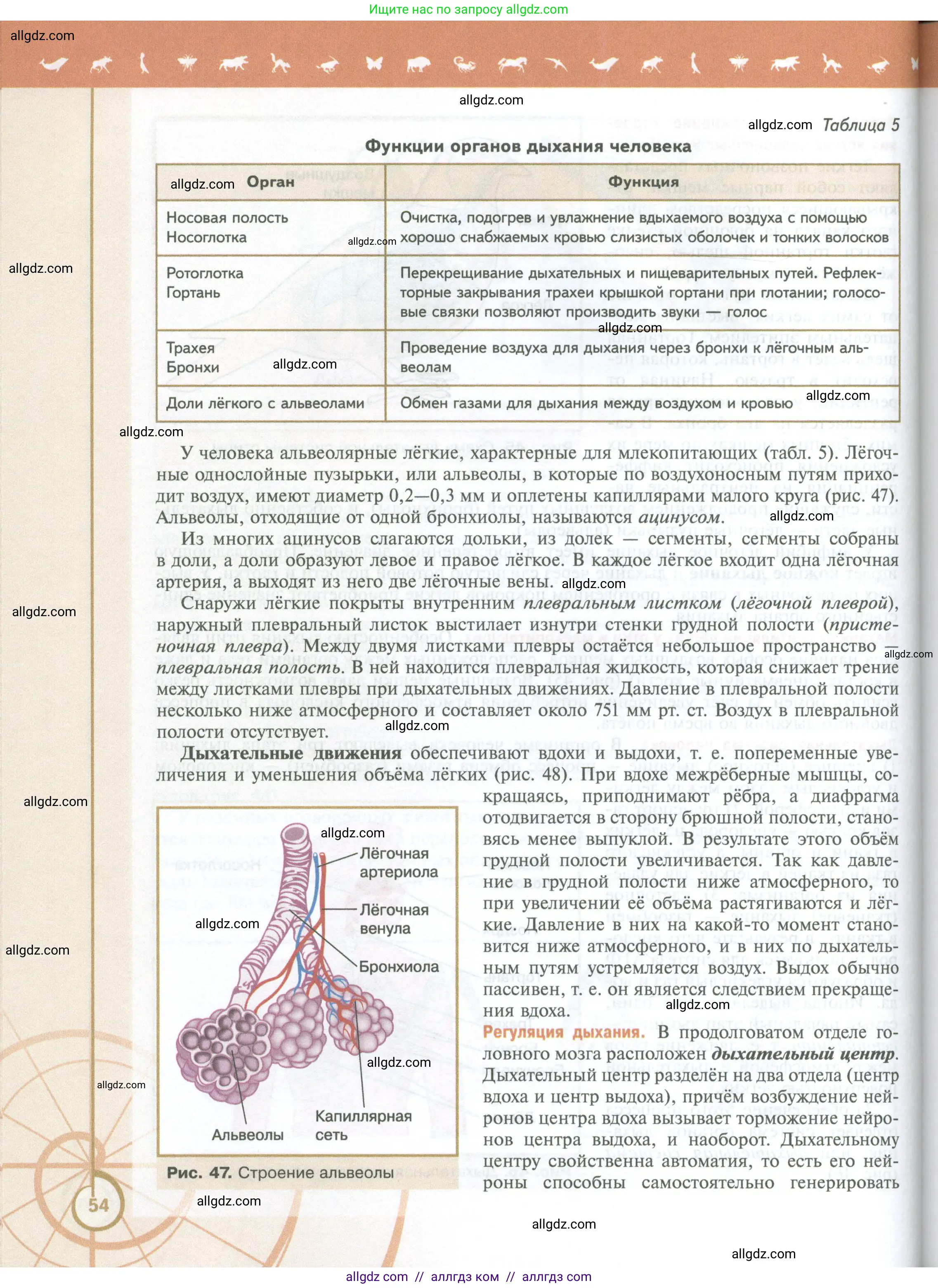 Биология, 10 класс Учебник, авторы: Пасечник Владимир Васильевич, Каменский Андрей Александрович, Рубцов Александр Михайлович, Швецов Глеб Геннадьевич, Абовян Леван Арташесович, Гапонюк Зоя Георгиевна, издательство Просвещение, Москва, 2024, коричневого цвета, страница 54