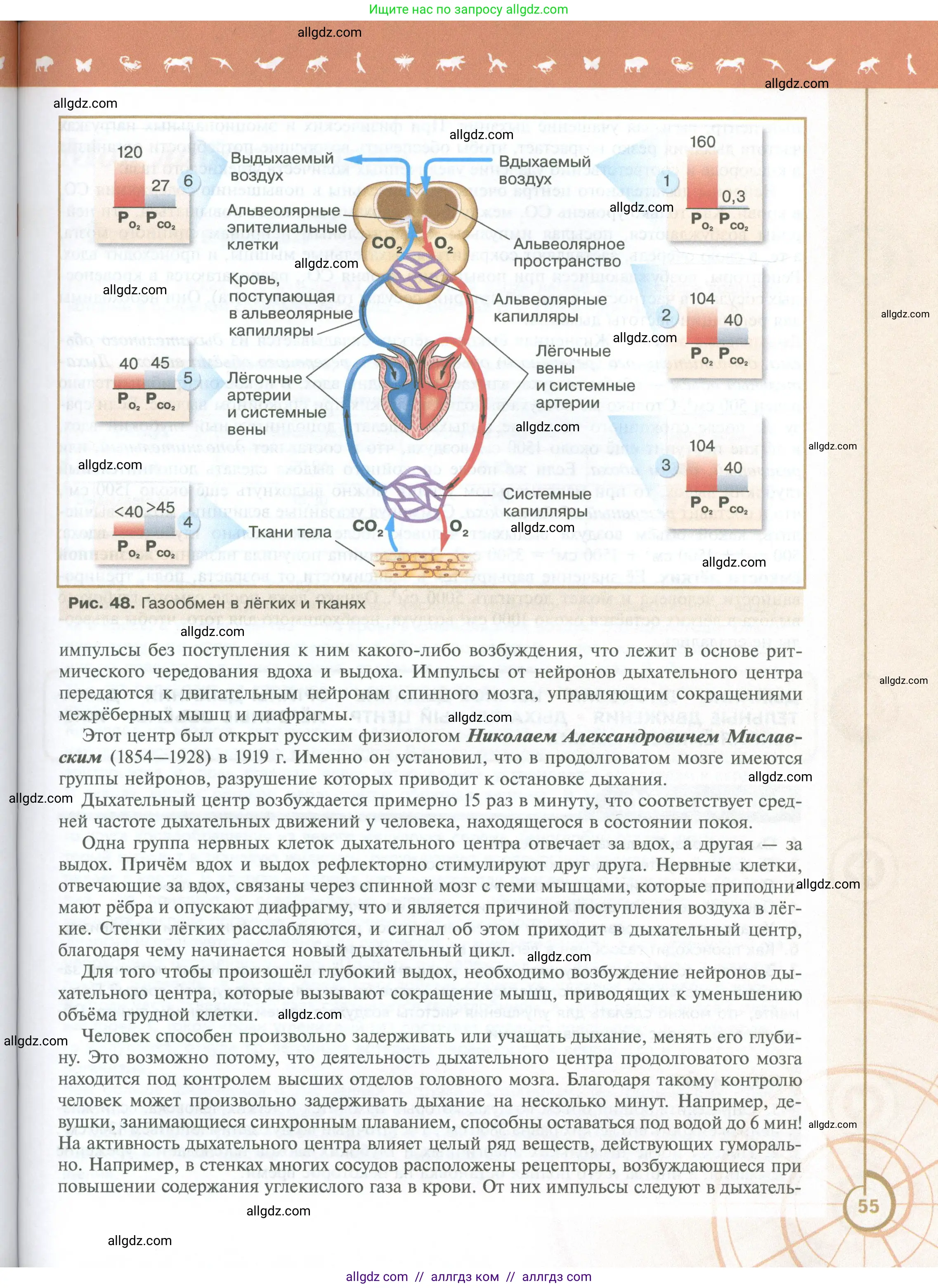 Биология, 10 класс Учебник, авторы: Пасечник Владимир Васильевич, Каменский Андрей Александрович, Рубцов Александр Михайлович, Швецов Глеб Геннадьевич, Абовян Леван Арташесович, Гапонюк Зоя Георгиевна, издательство Просвещение, Москва, 2024, коричневого цвета, страница 55