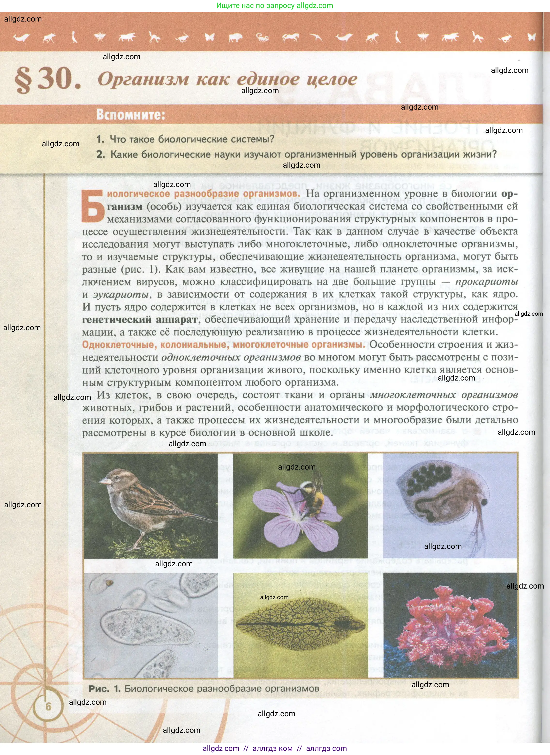 Биология, 10 класс Учебник, авторы: Пасечник Владимир Васильевич, Каменский Андрей Александрович, Рубцов Александр Михайлович, Швецов Глеб Геннадьевич, Абовян Леван Арташесович, Гапонюк Зоя Георгиевна, издательство Просвещение, Москва, 2024, коричневого цвета, Часть 2, страница 6