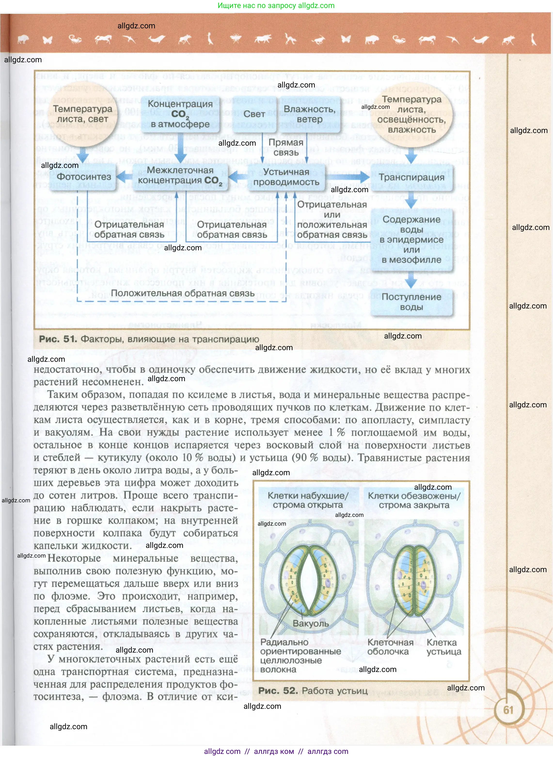 Биология, 10 класс Учебник, авторы: Пасечник Владимир Васильевич, Каменский Андрей Александрович, Рубцов Александр Михайлович, Швецов Глеб Геннадьевич, Абовян Леван Арташесович, Гапонюк Зоя Георгиевна, издательство Просвещение, Москва, 2024, коричневого цвета, страница 61