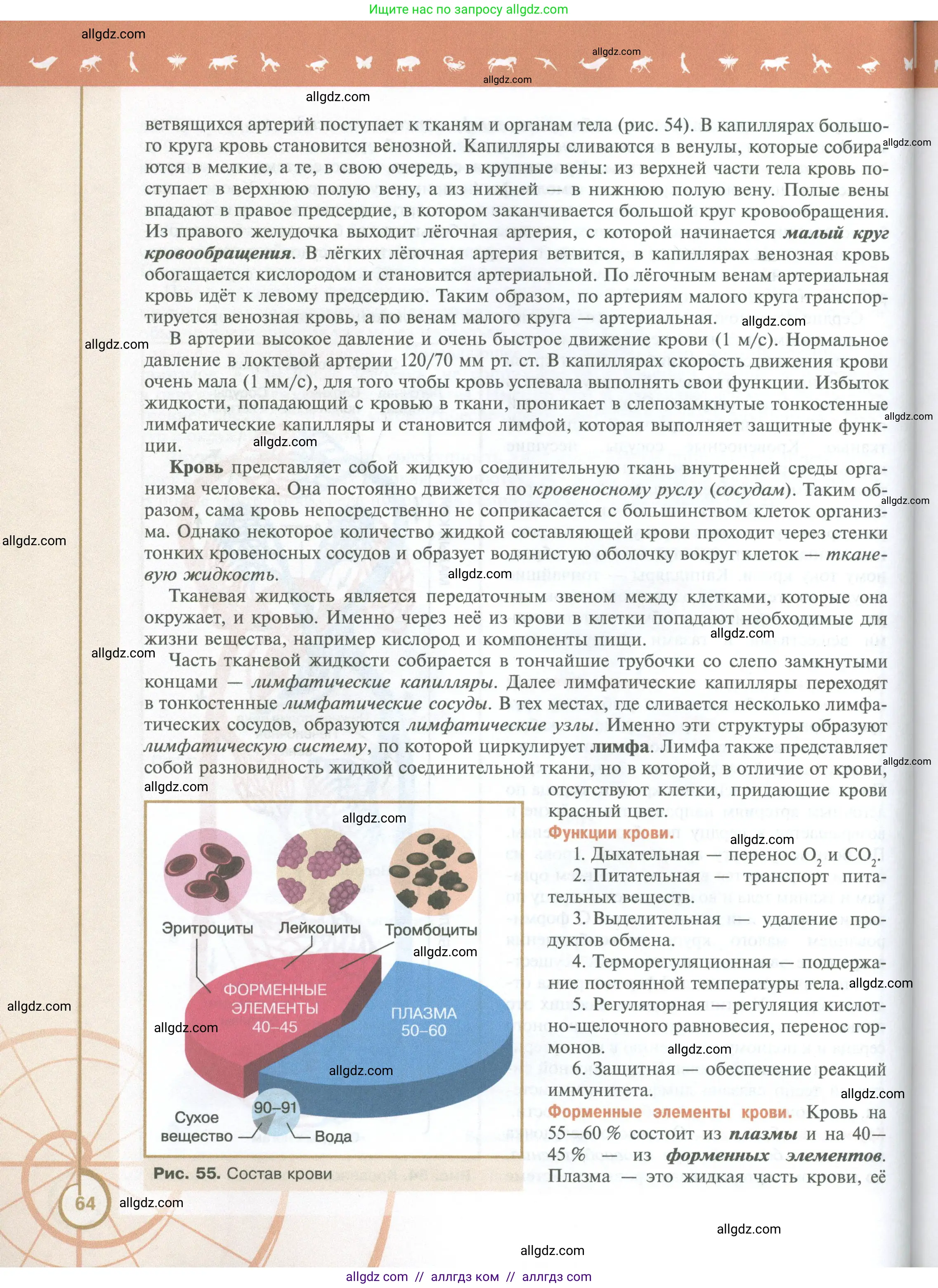 Биология, 10 класс Учебник, авторы: Пасечник Владимир Васильевич, Каменский Андрей Александрович, Рубцов Александр Михайлович, Швецов Глеб Геннадьевич, Абовян Леван Арташесович, Гапонюк Зоя Георгиевна, издательство Просвещение, Москва, 2024, коричневого цвета, страница 64