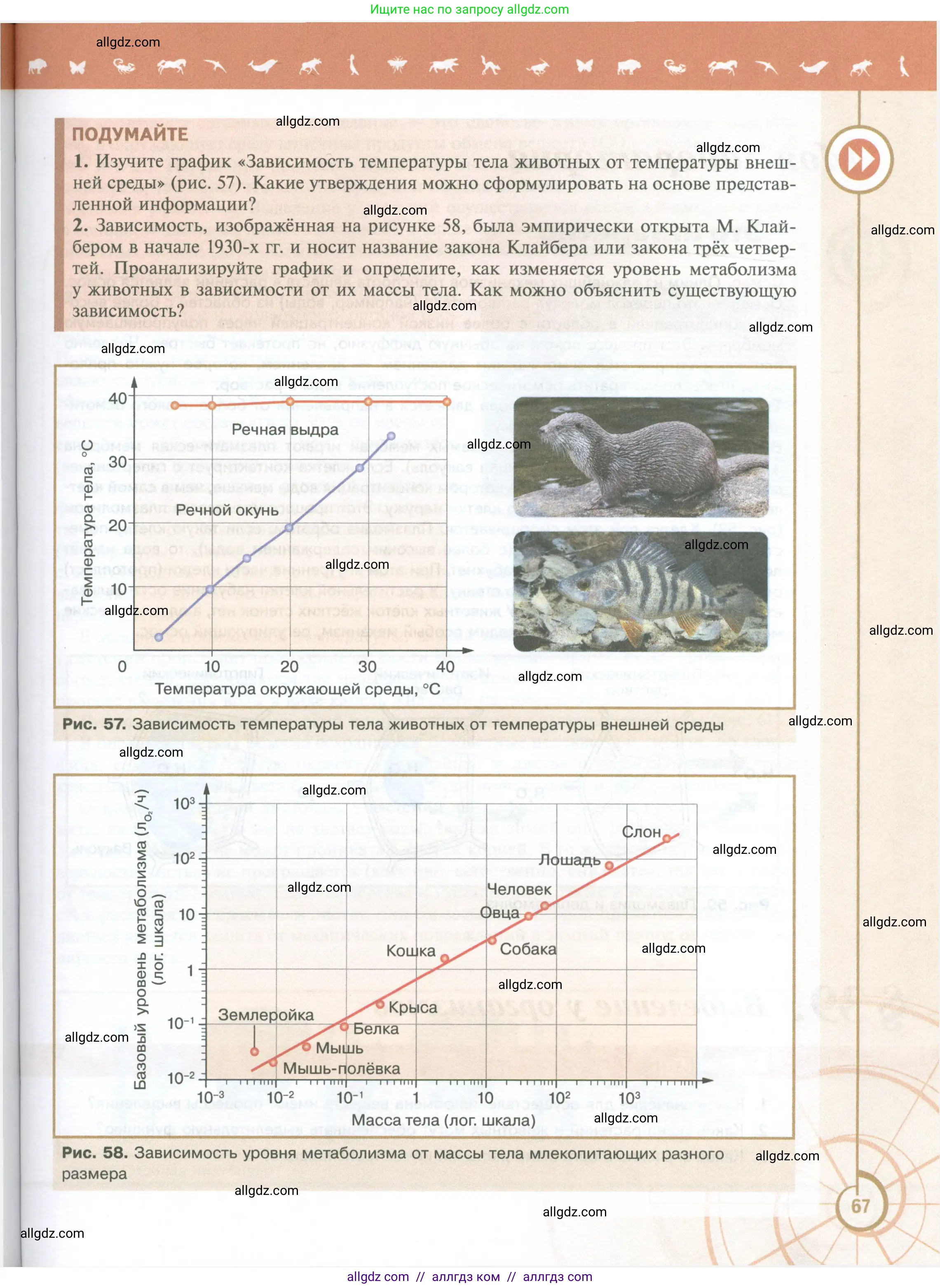 Биология, 10 класс Учебник, авторы: Пасечник Владимир Васильевич, Каменский Андрей Александрович, Рубцов Александр Михайлович, Швецов Глеб Геннадьевич, Абовян Леван Арташесович, Гапонюк Зоя Георгиевна, издательство Просвещение, Москва, 2024, коричневого цвета, Часть 2, страница 67