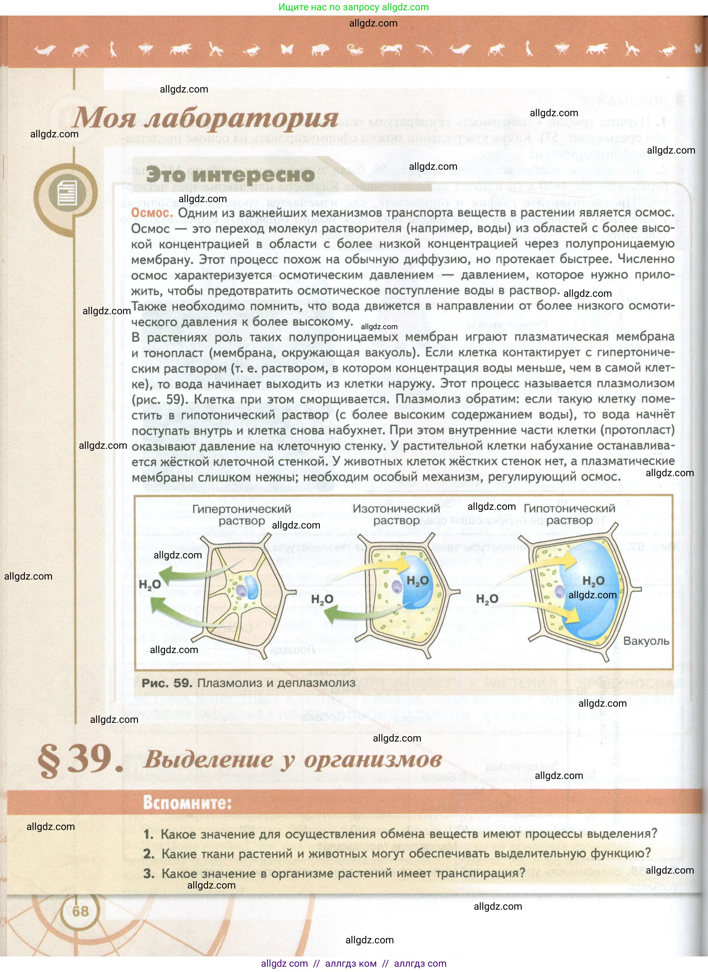 Биология, 10 класс Учебник, авторы: Пасечник Владимир Васильевич, Каменский Андрей Александрович, Рубцов Александр Михайлович, Швецов Глеб Геннадьевич, Абовян Леван Арташесович, Гапонюк Зоя Георгиевна, издательство Просвещение, Москва, 2024, коричневого цвета, Часть 2, страница 68